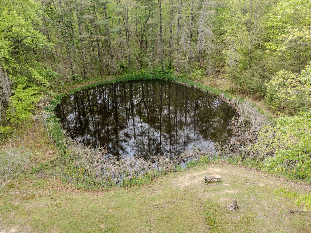 2385 Ky Hwy 801 Property Photo 54