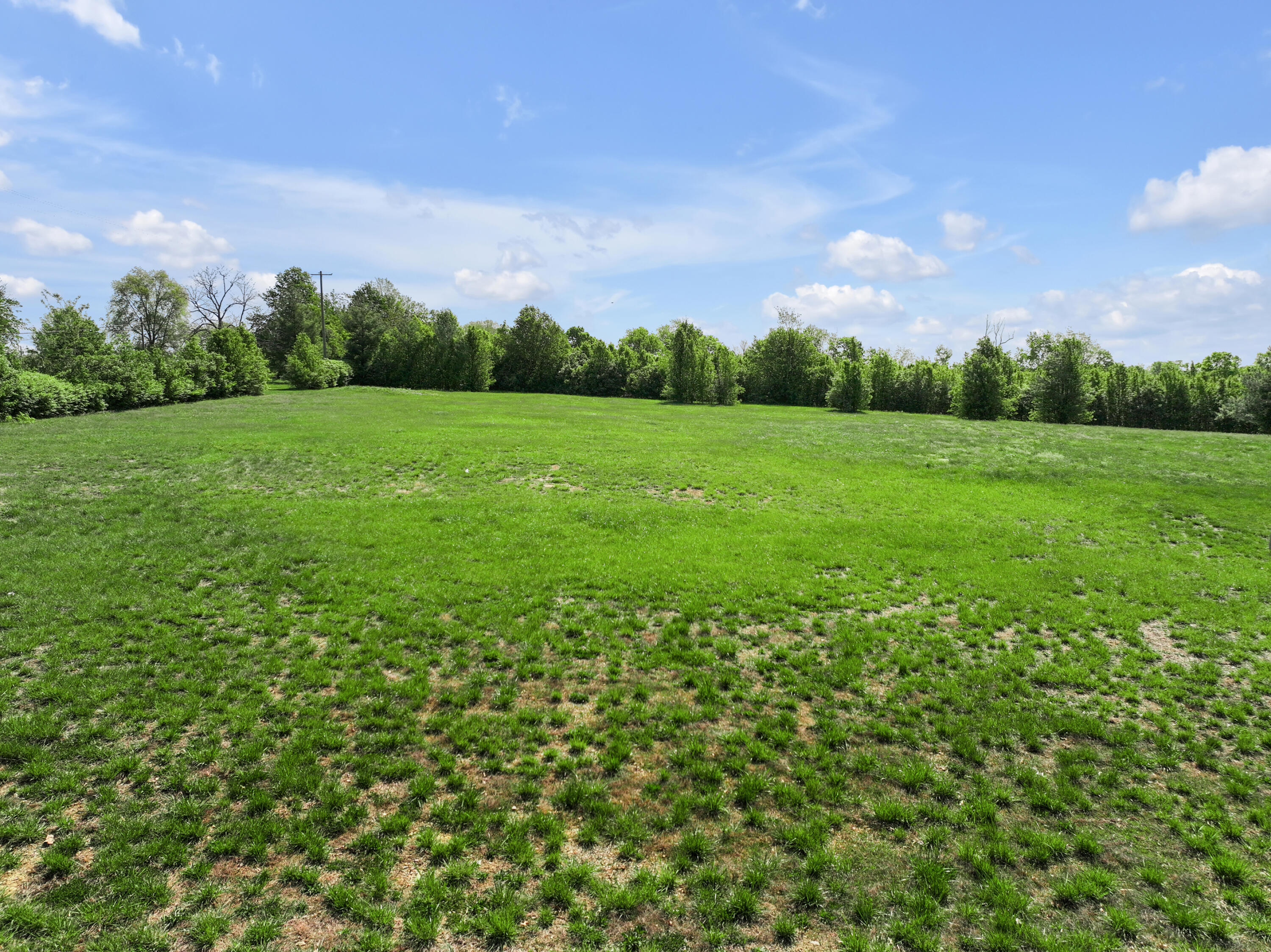 4184 Todds Road Property Photo 9