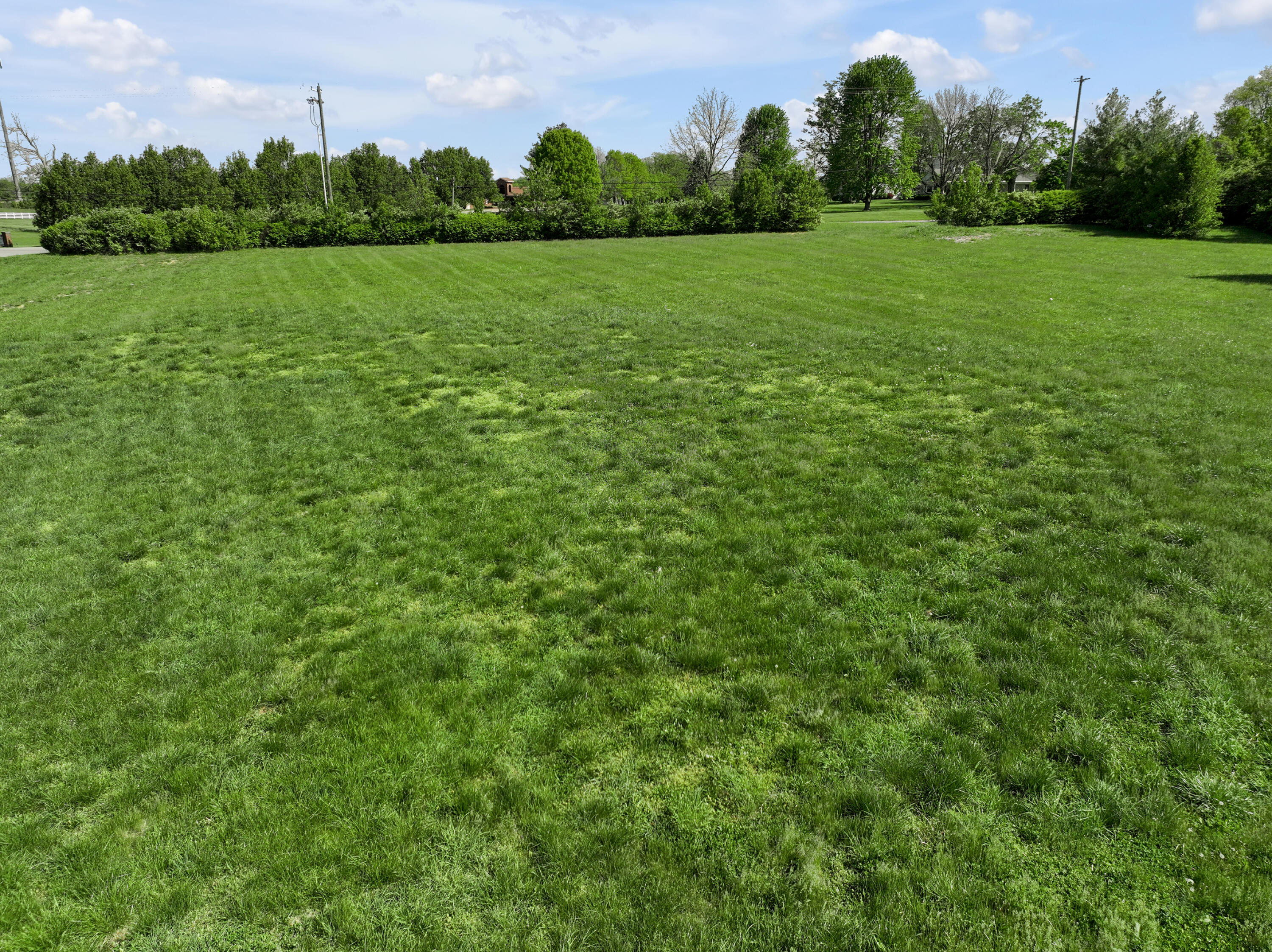 4184 Todds Road Property Photo 14