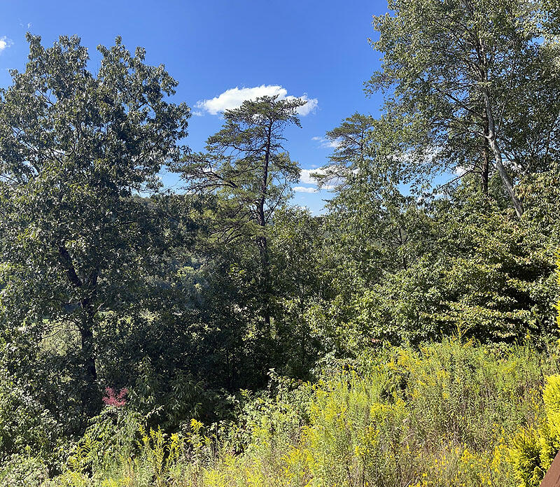 Lot 148 Stillwater Property Photo 3