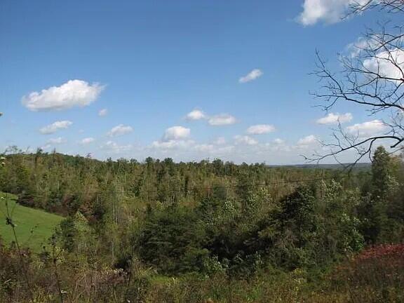 1 Rock Branch Road Property Photo 3