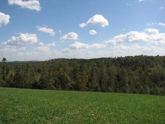 1 Rock Branch Road Property Photo 5