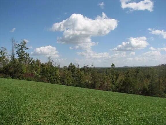 1 Rock Branch Road Property Photo 7