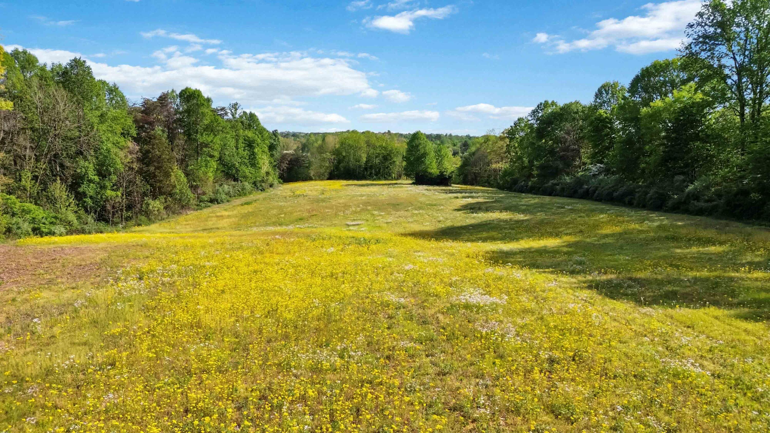 275 Sandidge Road Property Photo 6
