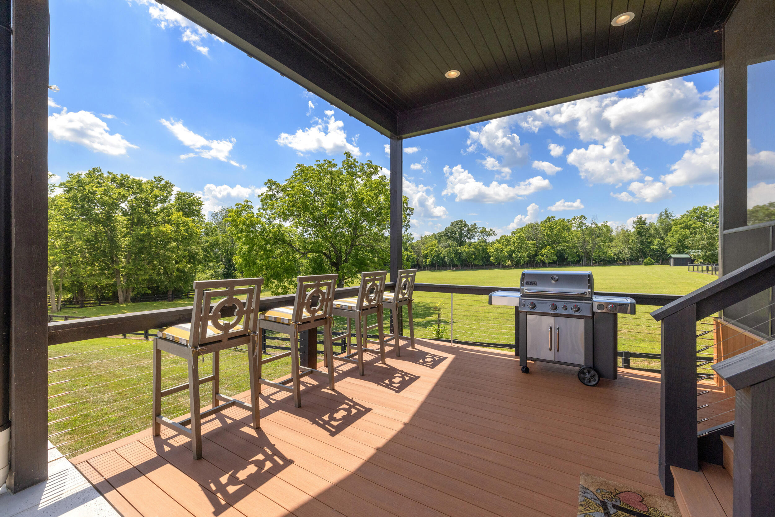 689 Sarah Blake Lane Property Photo 72