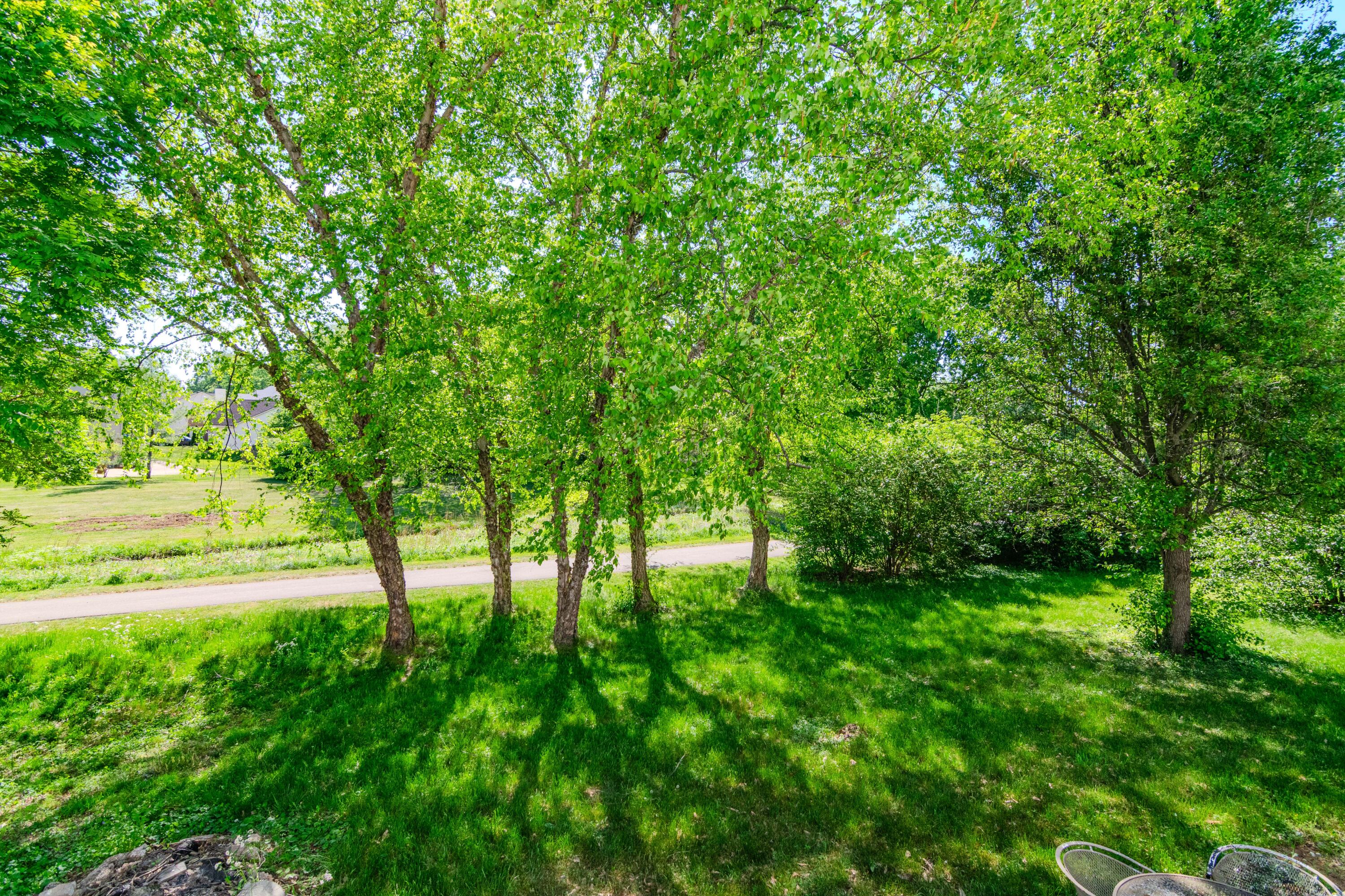2924 Trailside Drive Property Photo 54