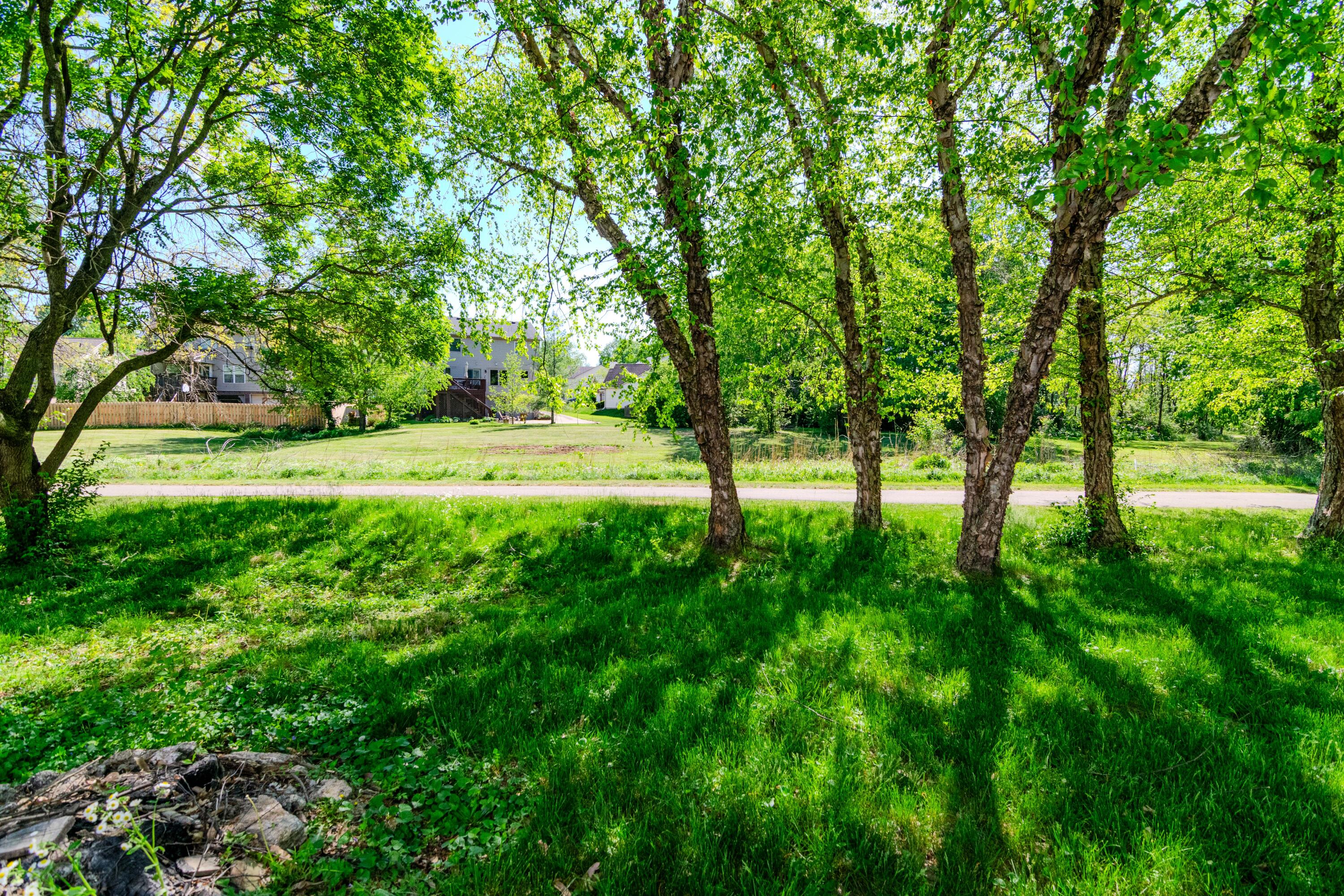 2924 Trailside Drive Property Photo 56