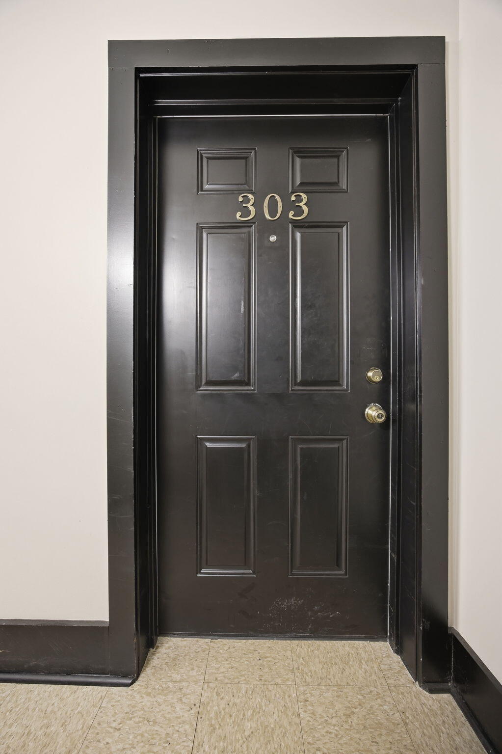 261 S Limestone 303 Property Photo 43