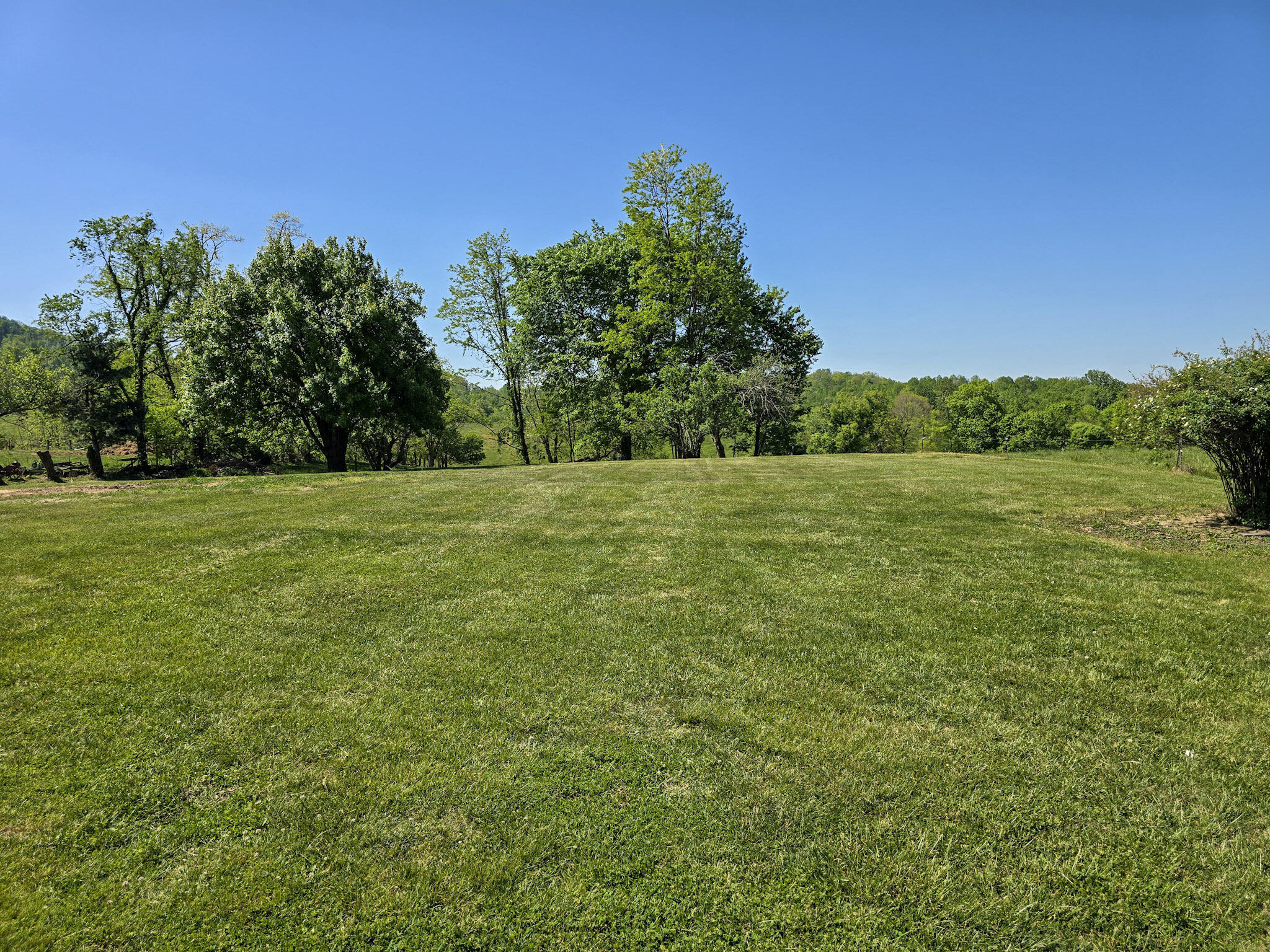 3014 Poplar Hill Road Property Photo 7