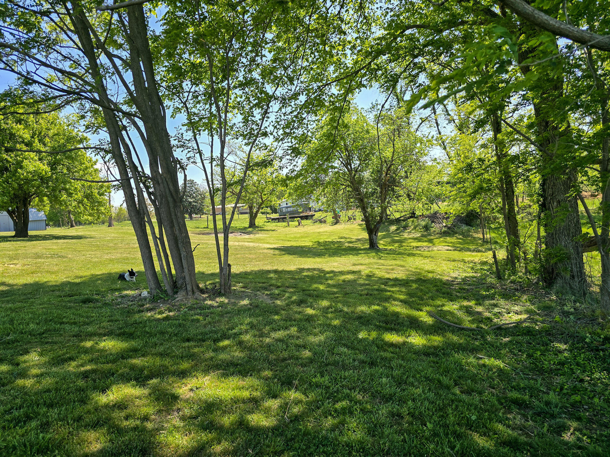 3014 Poplar Hill Road Property Photo 60
