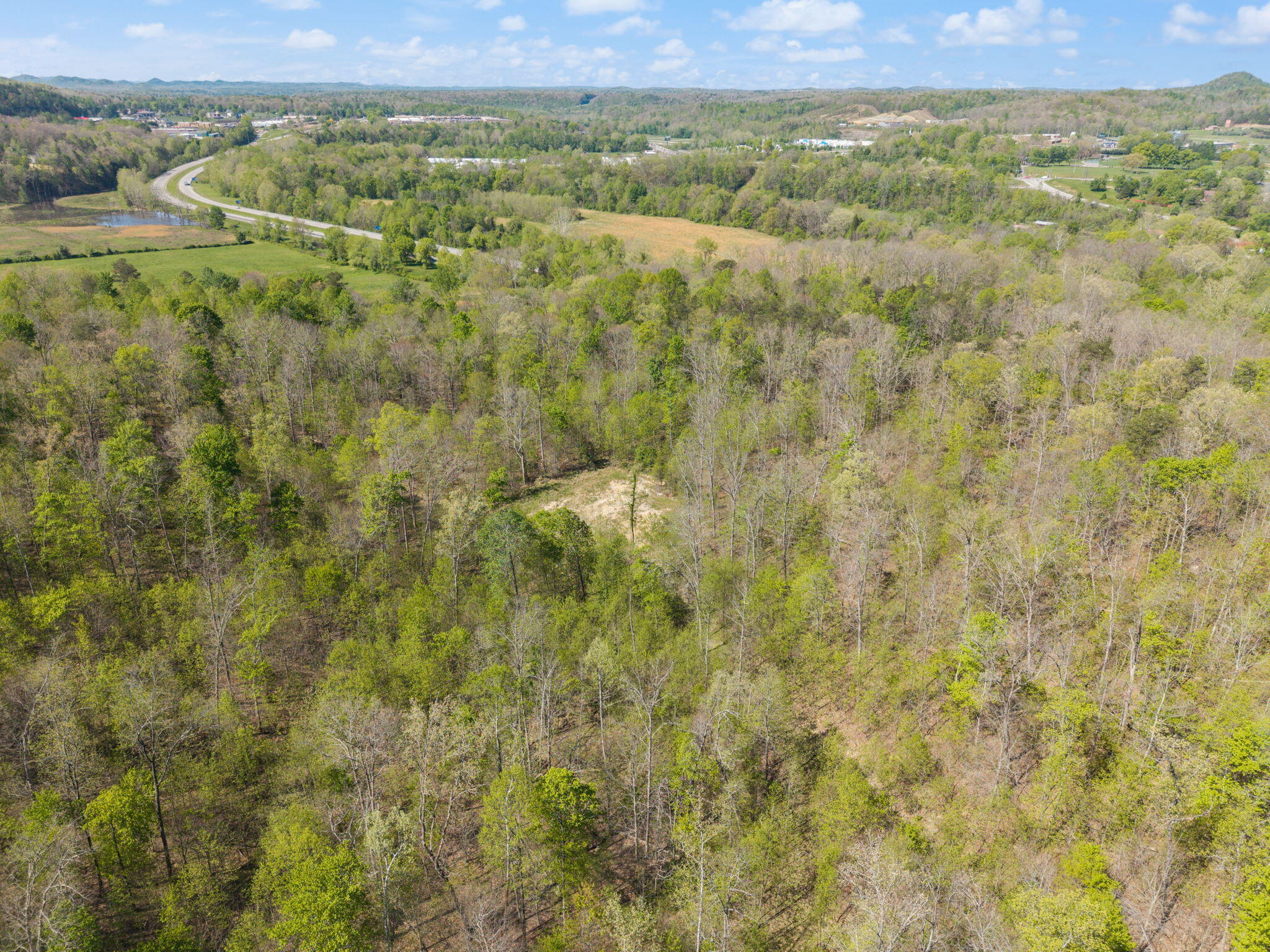 000 Fraley Drive Property Photo 6