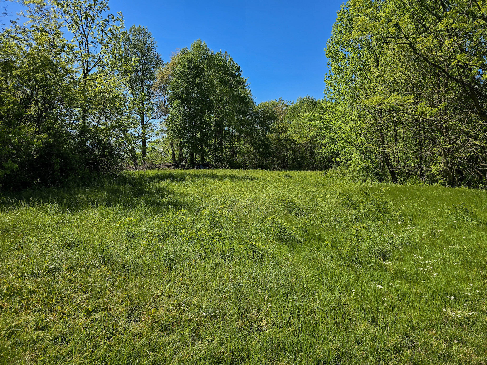 Tract A N Ky 501 Property Photo 1