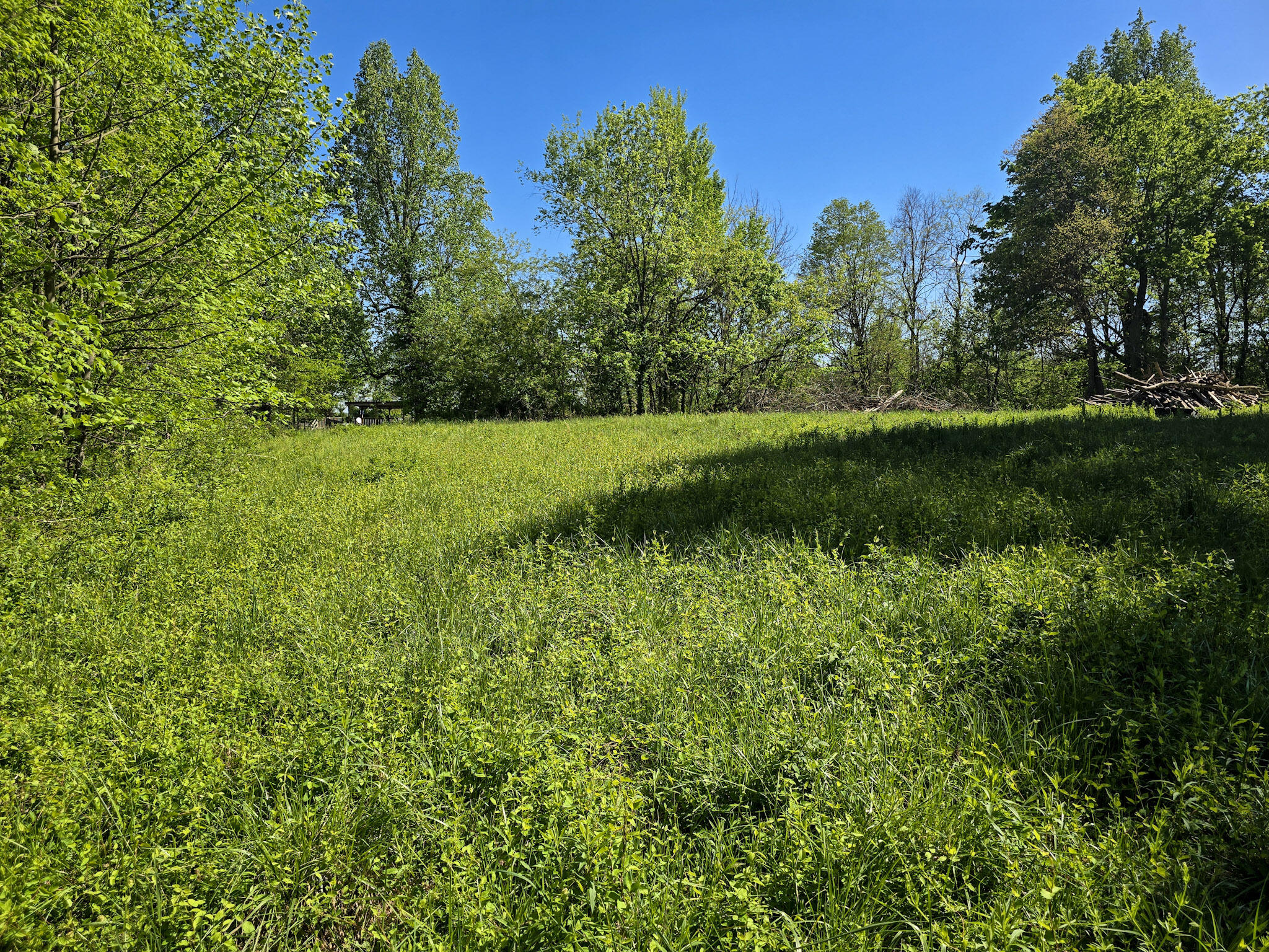 Tract A N Ky 501 Property Photo 10