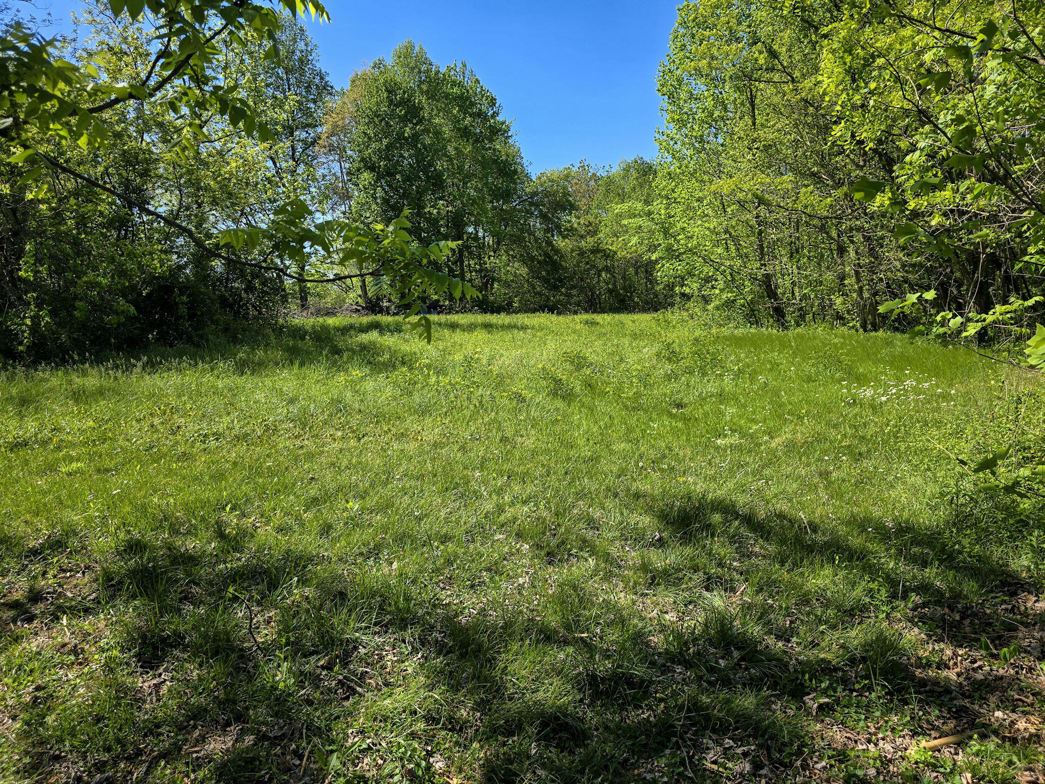 Tract A N Ky 501 Property Photo 11
