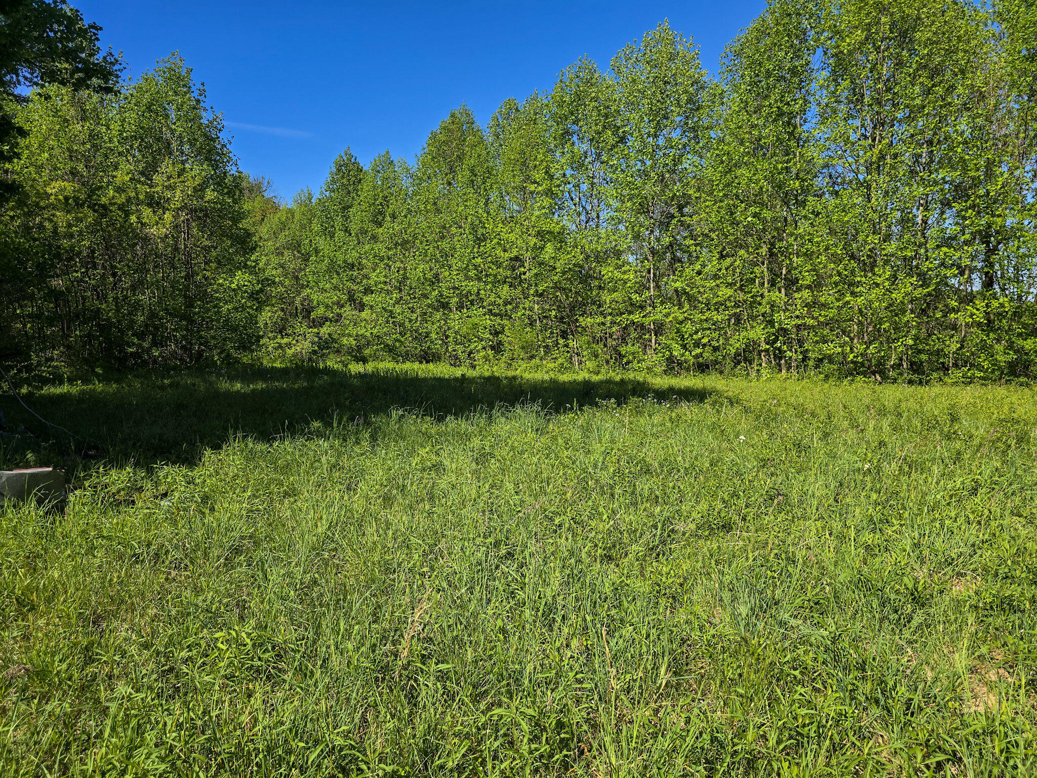Tract A N Ky 501 Property Photo 12