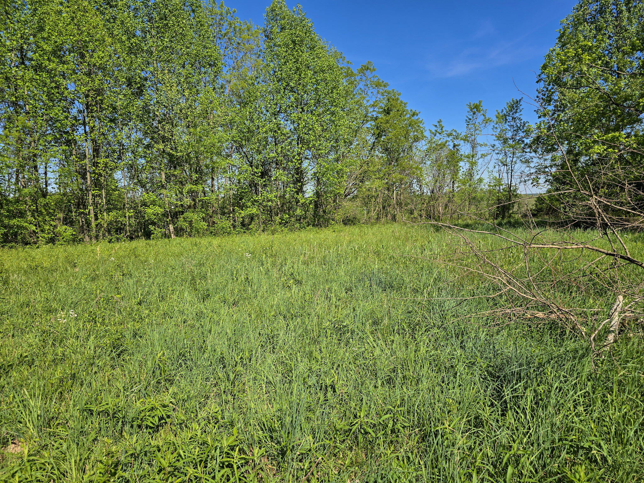 Tract A N Ky 501 Property Photo 13