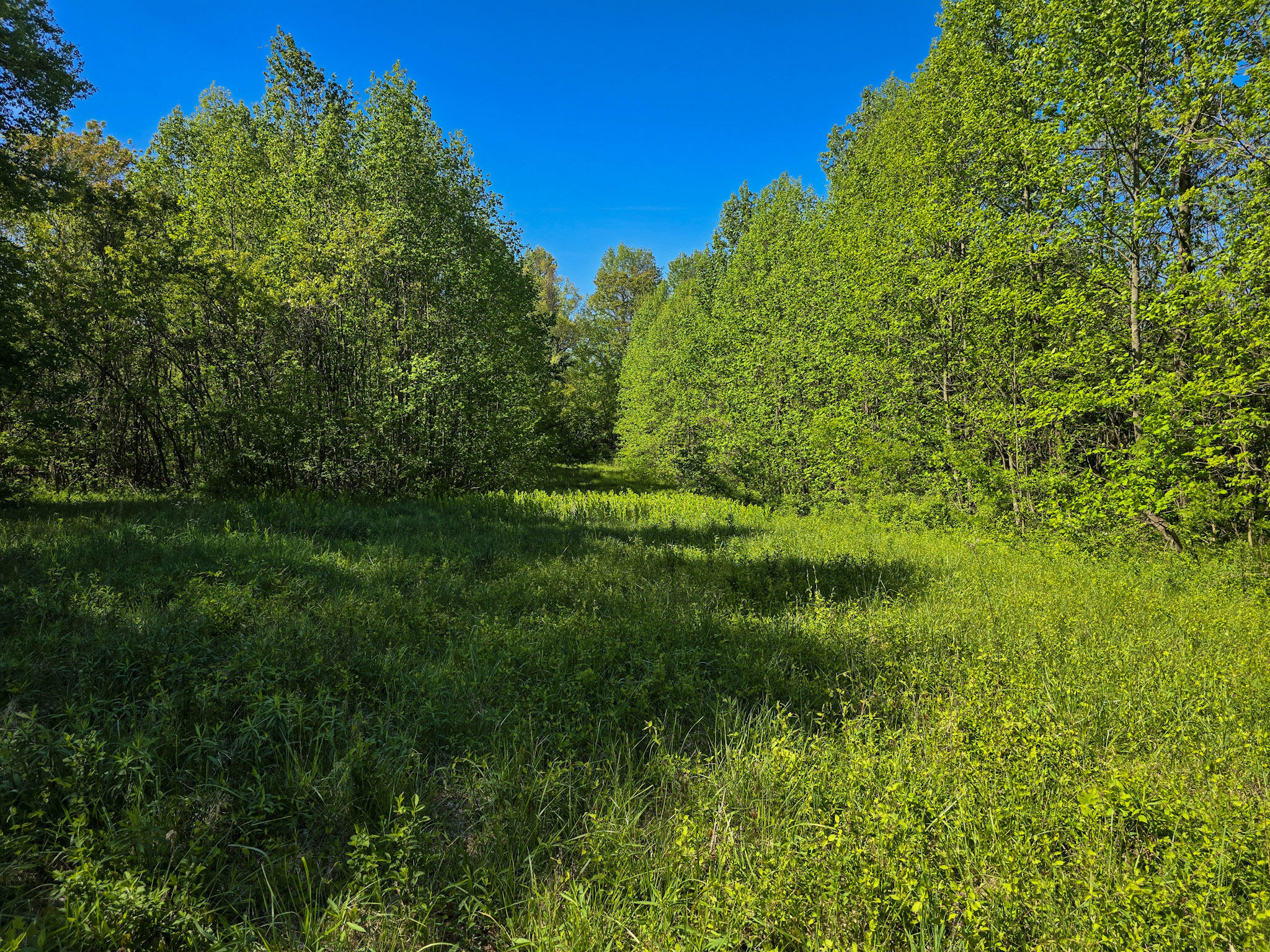 Tract A N Ky 501 Property Photo 14