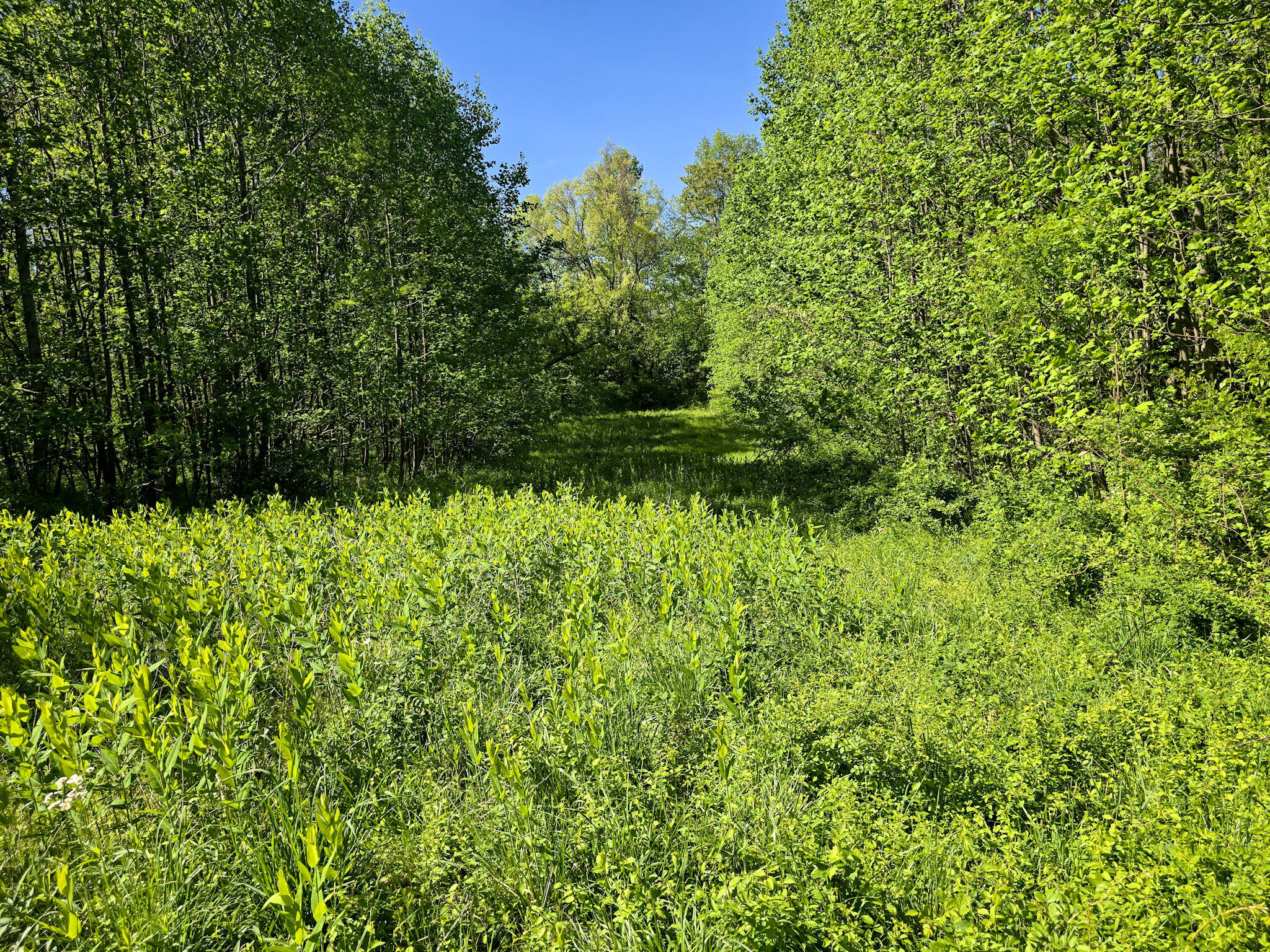 Tract A N Ky 501 Property Photo 15
