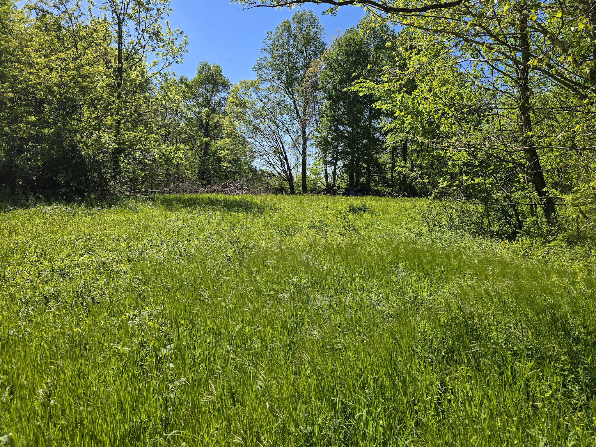 Tract A N Ky 501 Property Photo 16