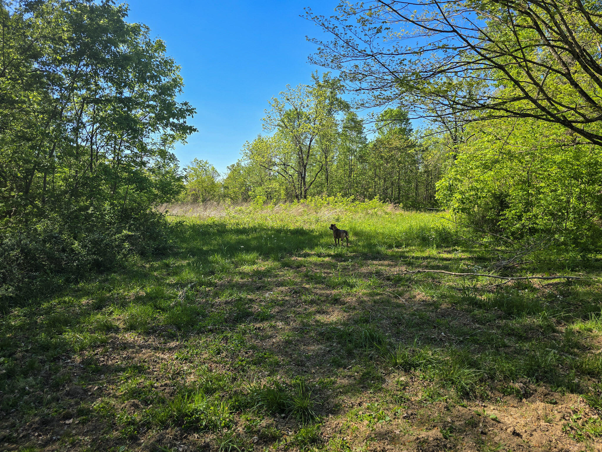 Tract A N Ky 501 Property Photo 18