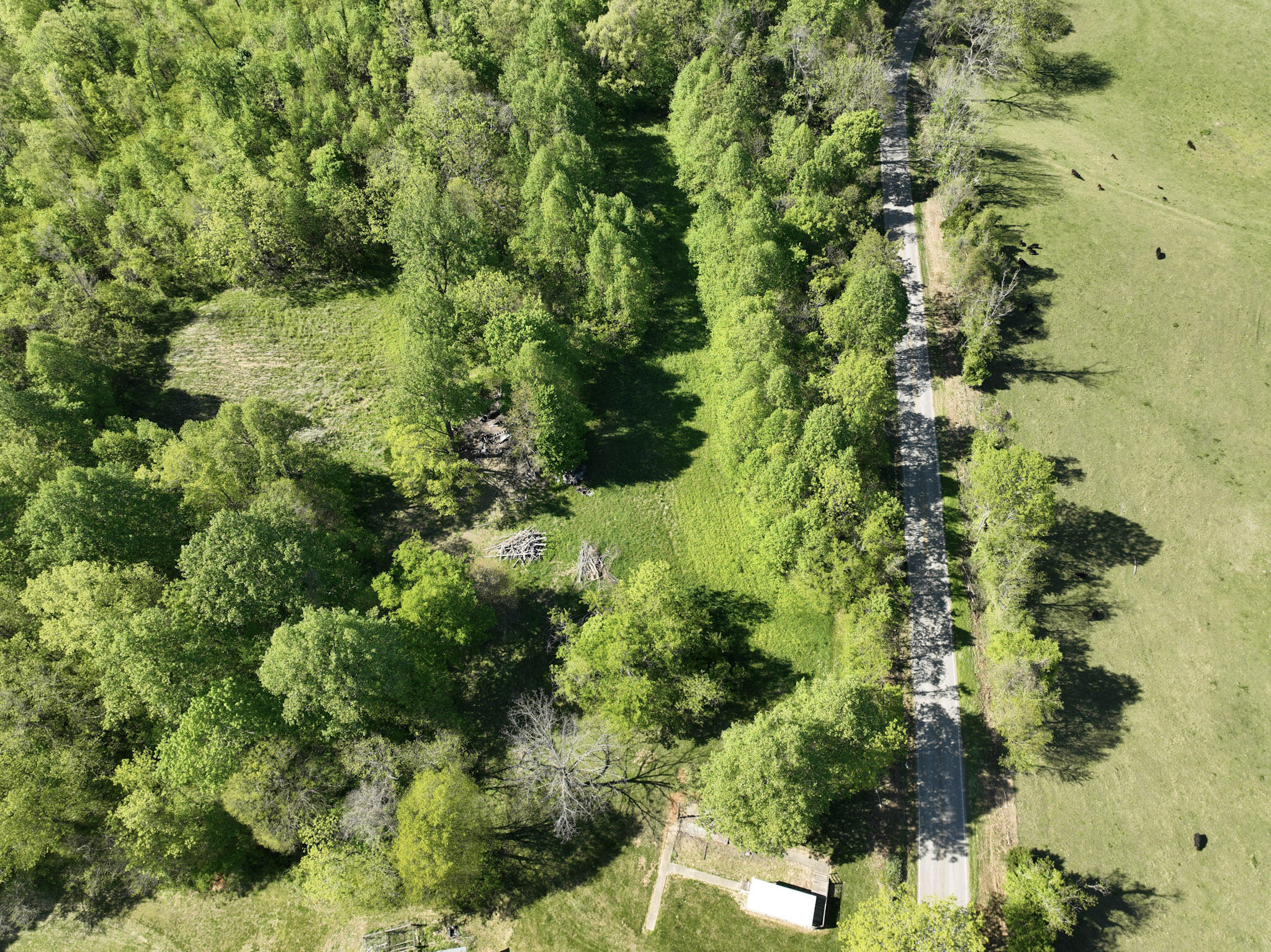 Tract A N Ky 501 Property Photo 23