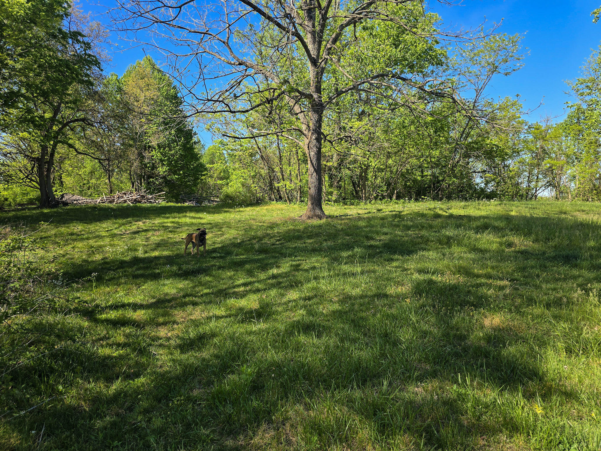 Tract A N Ky 501 Property Photo 29