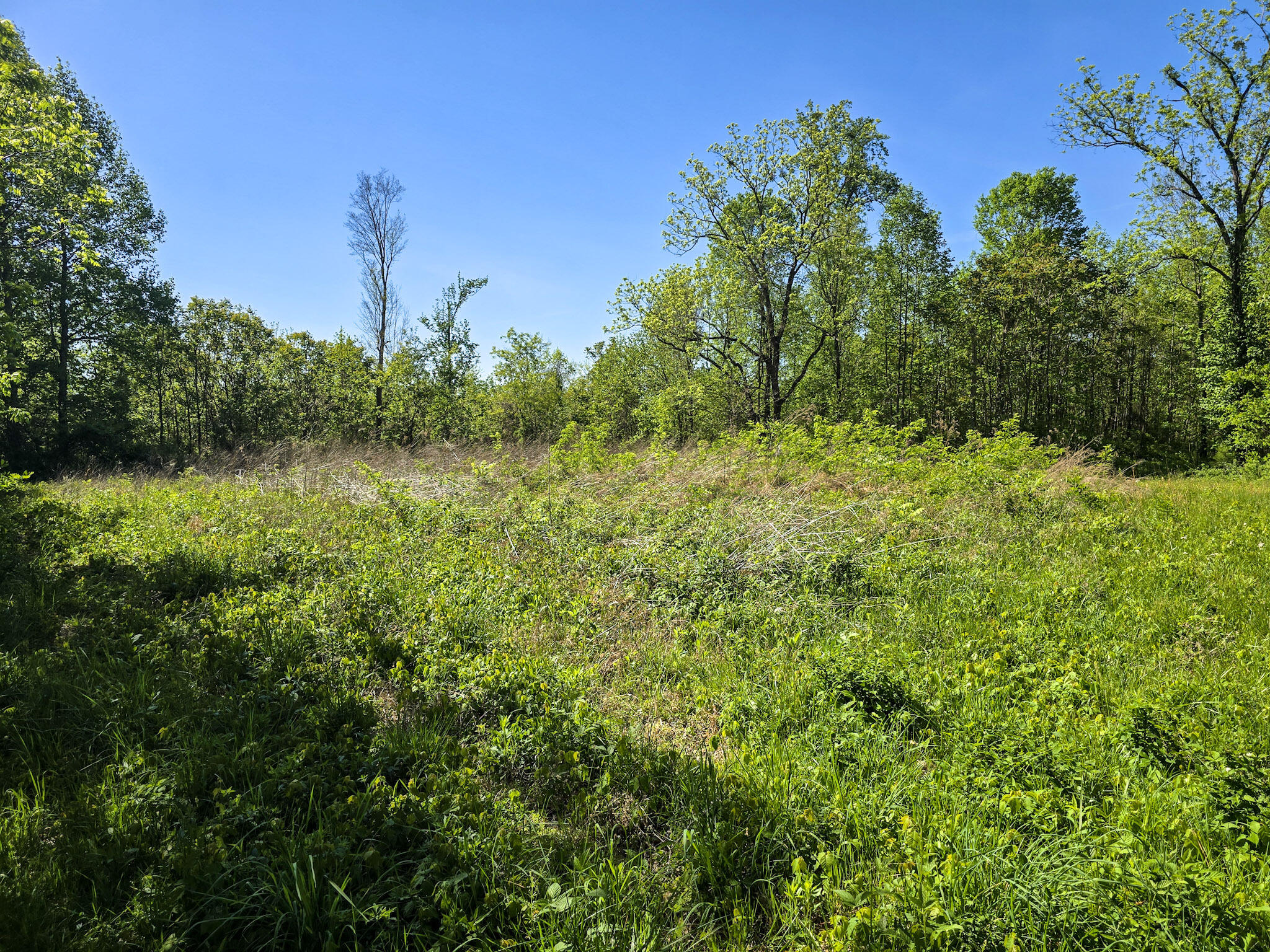 Tract A N Ky 501 Property Photo 31