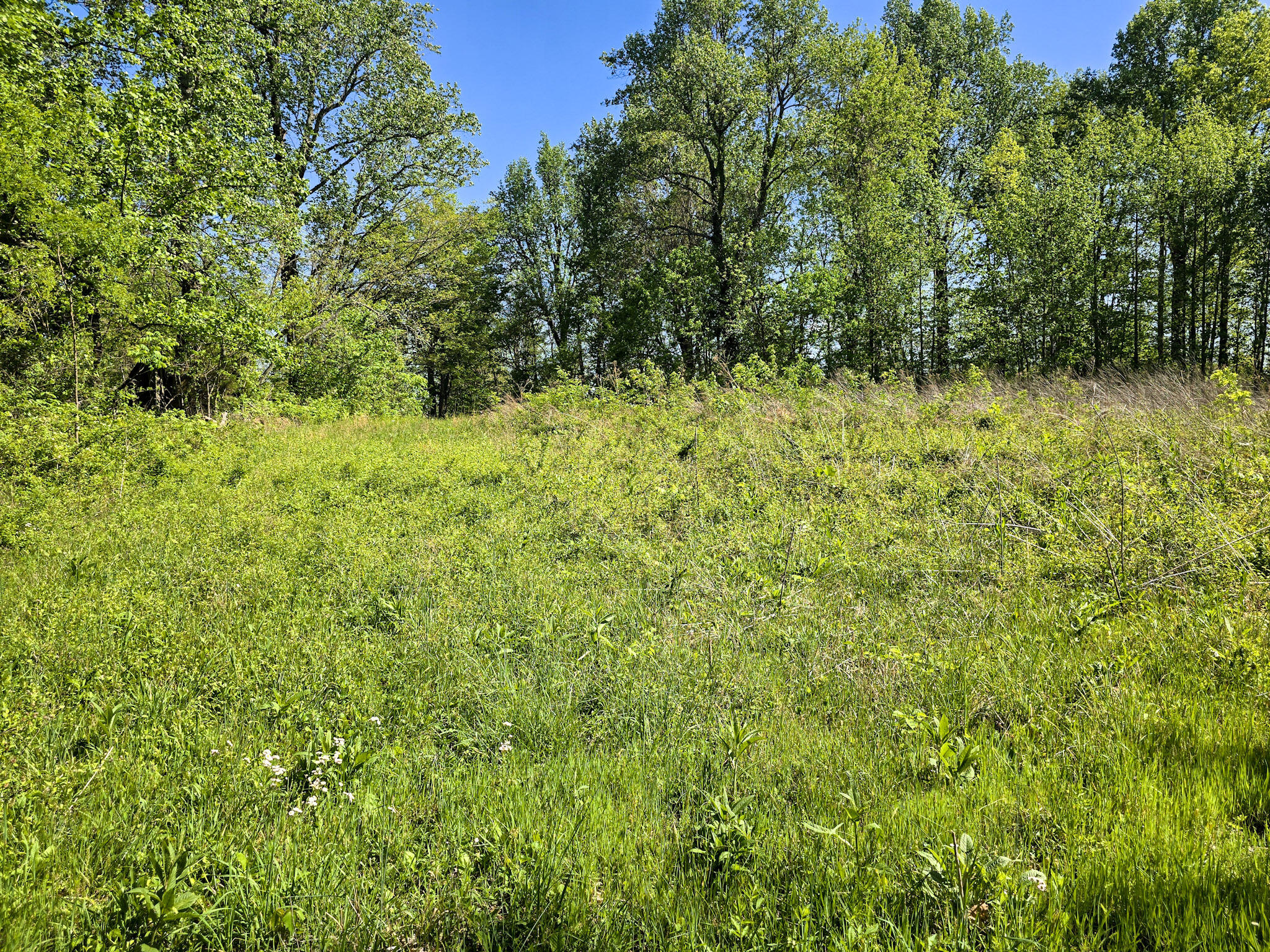 Tract A N Ky 501 Property Photo 32
