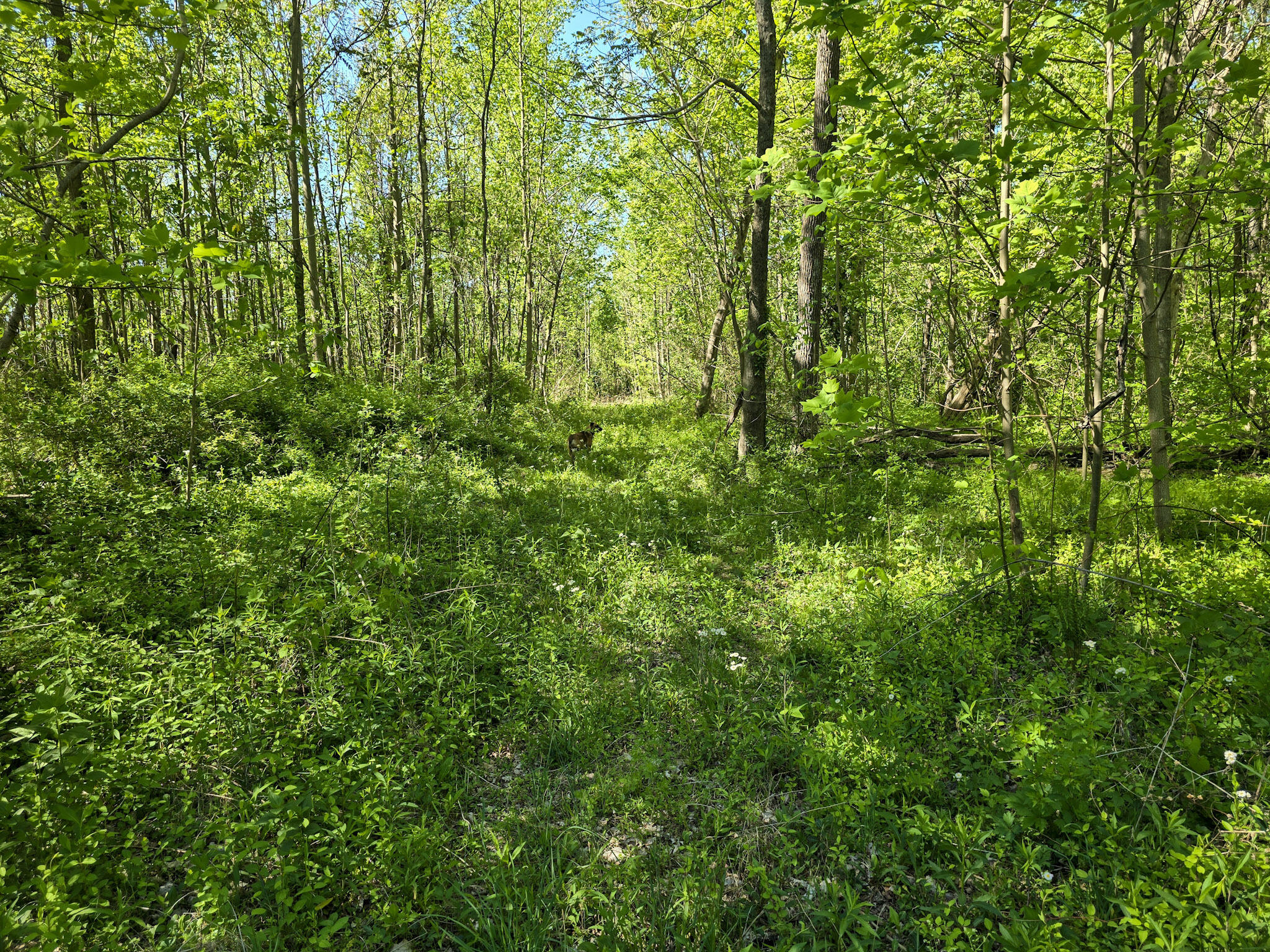 Tract A N Ky 501 Property Photo 33