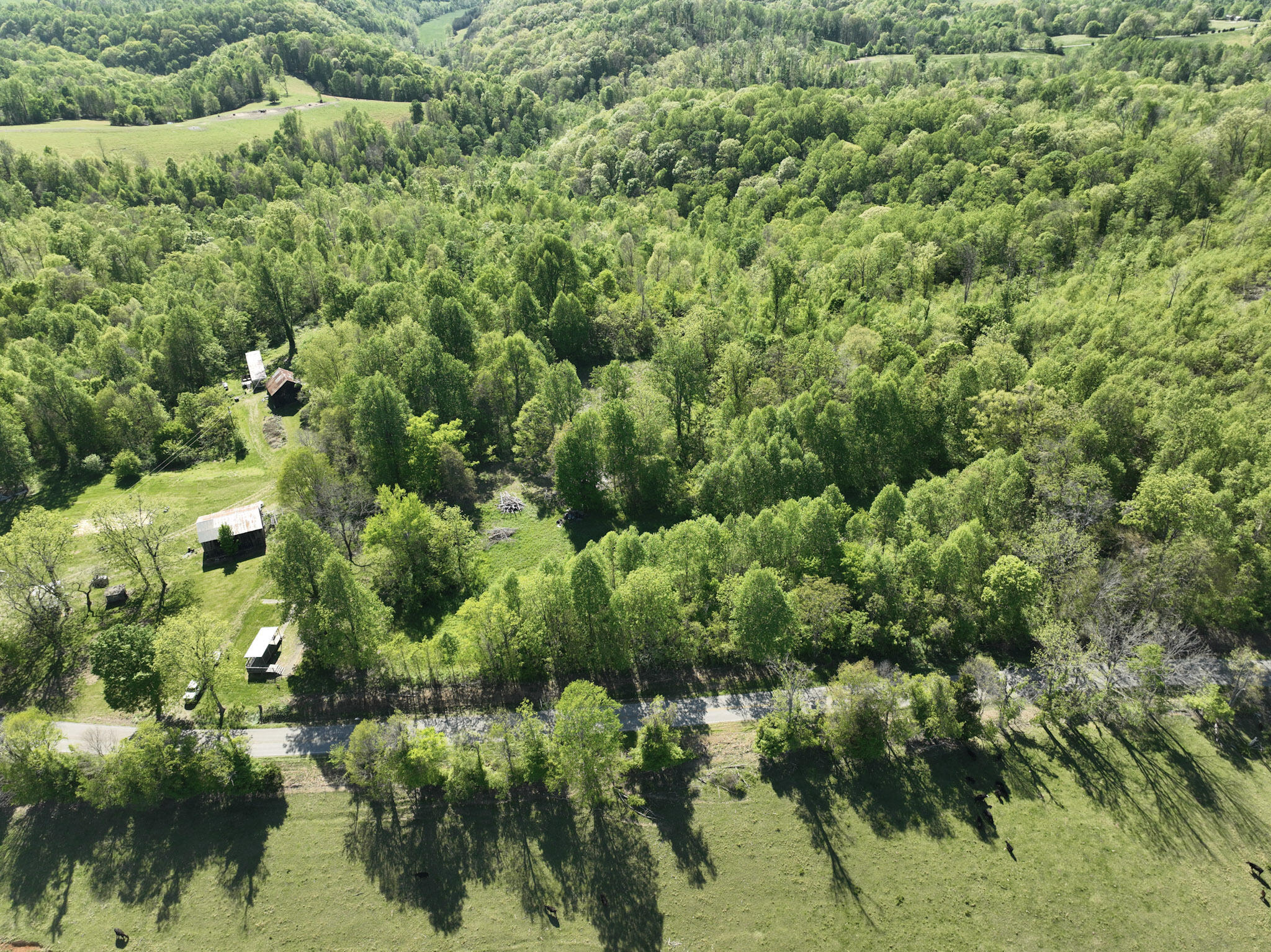 Tract A N Ky 501 Property Photo 34