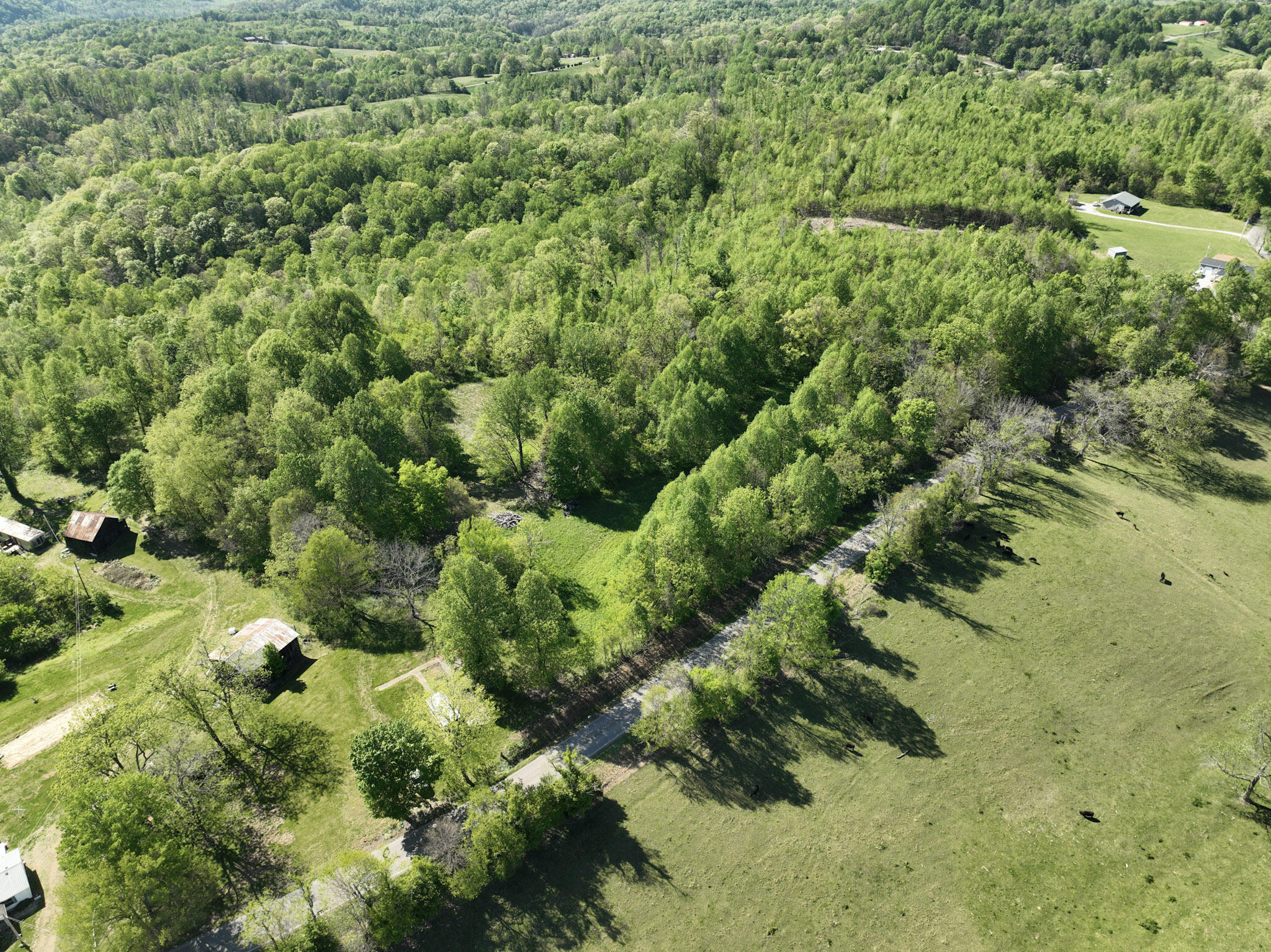 Tract A N Ky 501 Property Photo 35