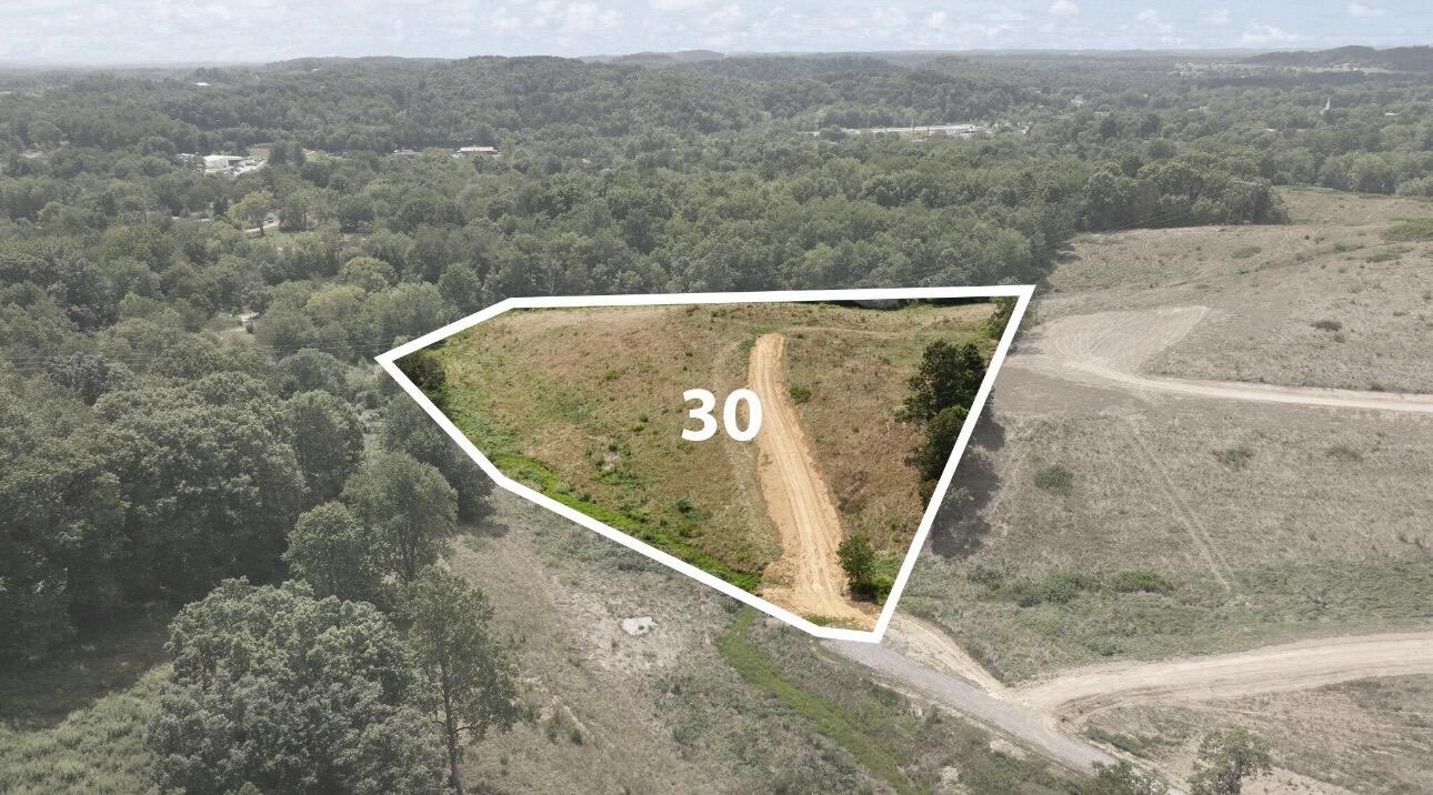 1090 Pittsburg Landing Tract 30 Property Photo 15