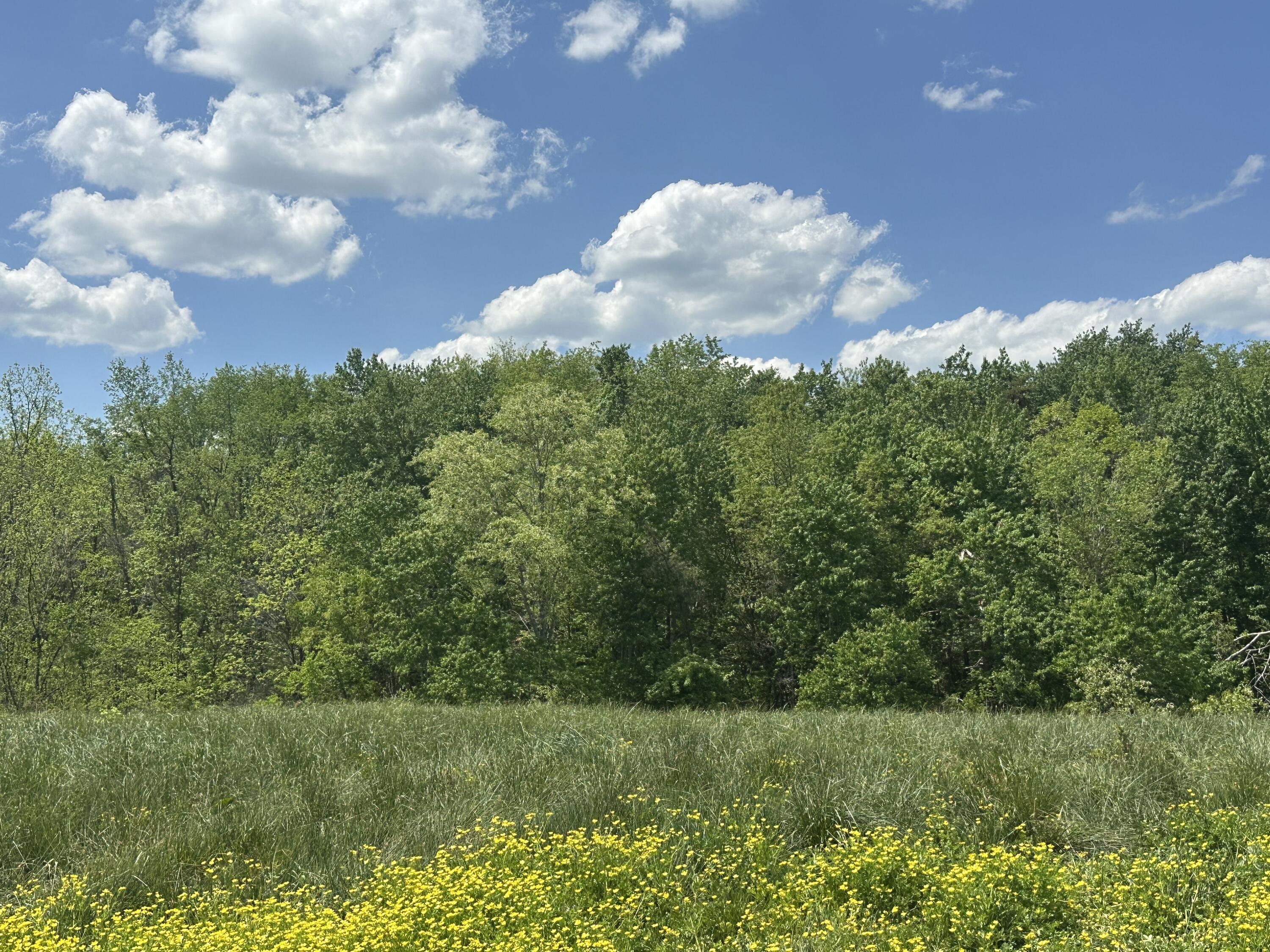 1090 Pittsburg Landing Tract 30 Property Photo 19