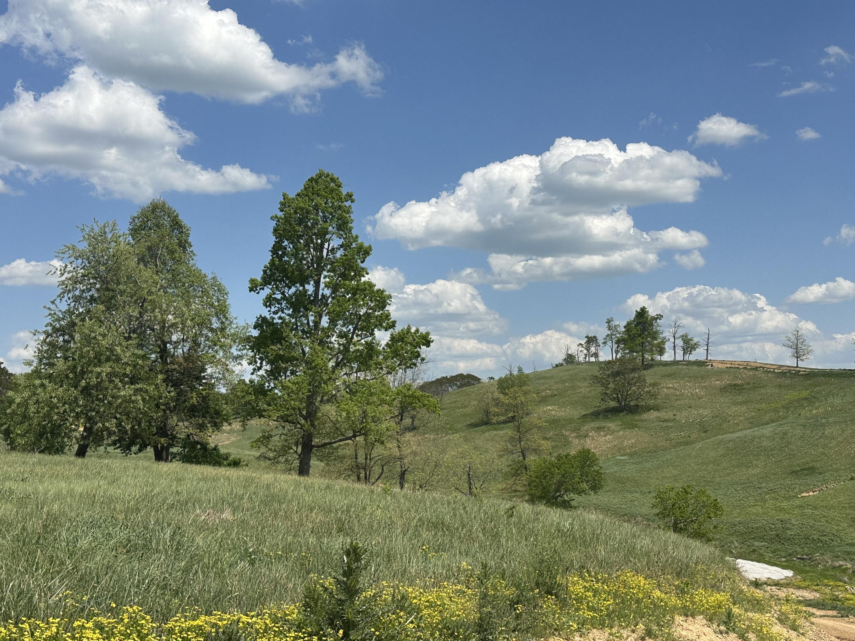 1090 Pittsburg Landing Tract 30 Property Photo 23
