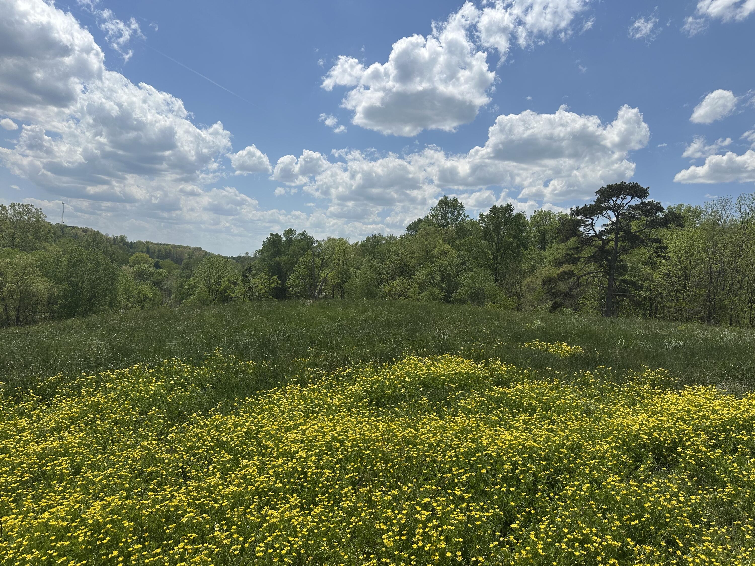 1090 Pittsburg Landing Tract 30 Property Photo 24