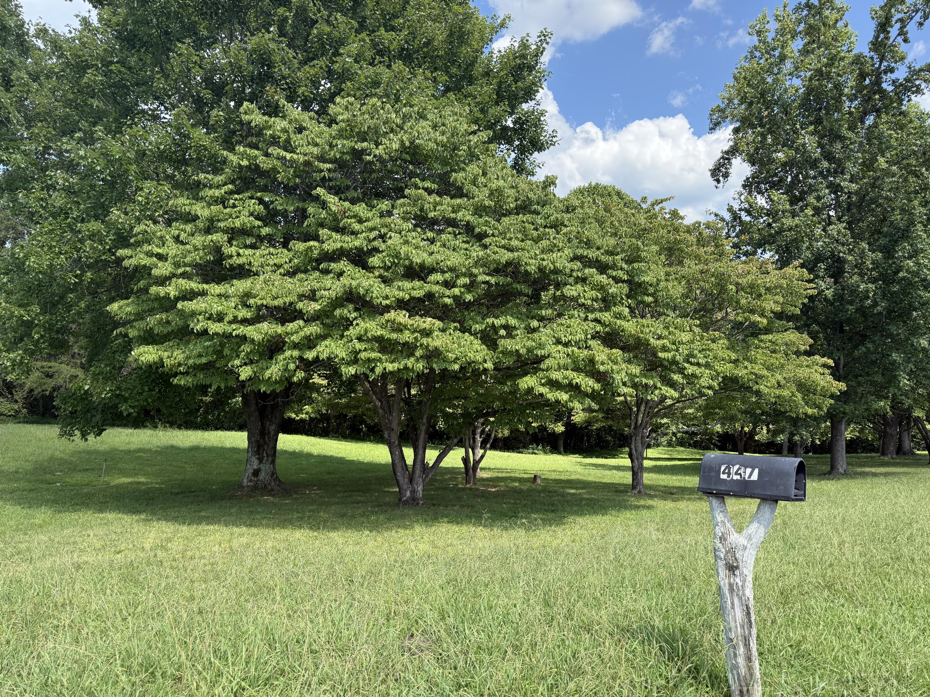 22 & 23 Cherry Loop Property Photo 1