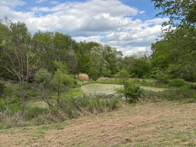 600 Scott Pike Property Photo 4