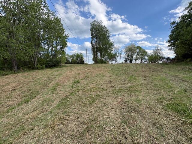 600 Scott Pike Property Photo 6