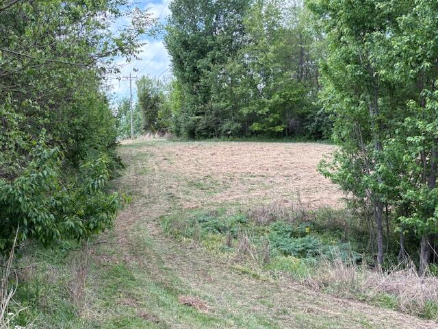 600 Scott Pike Property Photo 7