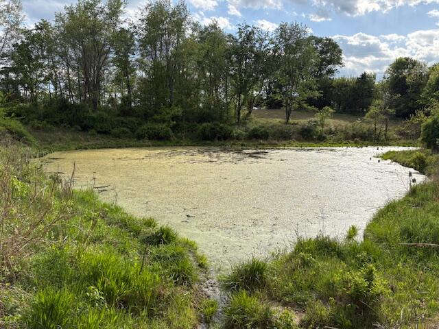 600 Scott Pike Property Photo 10