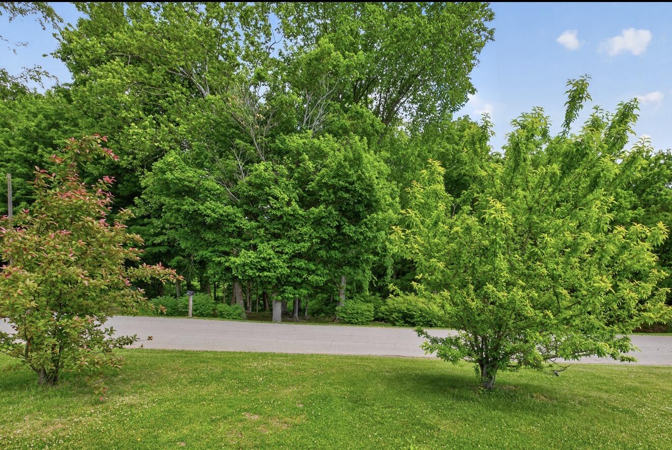 245 Greasy Ridge Road Property Photo 5