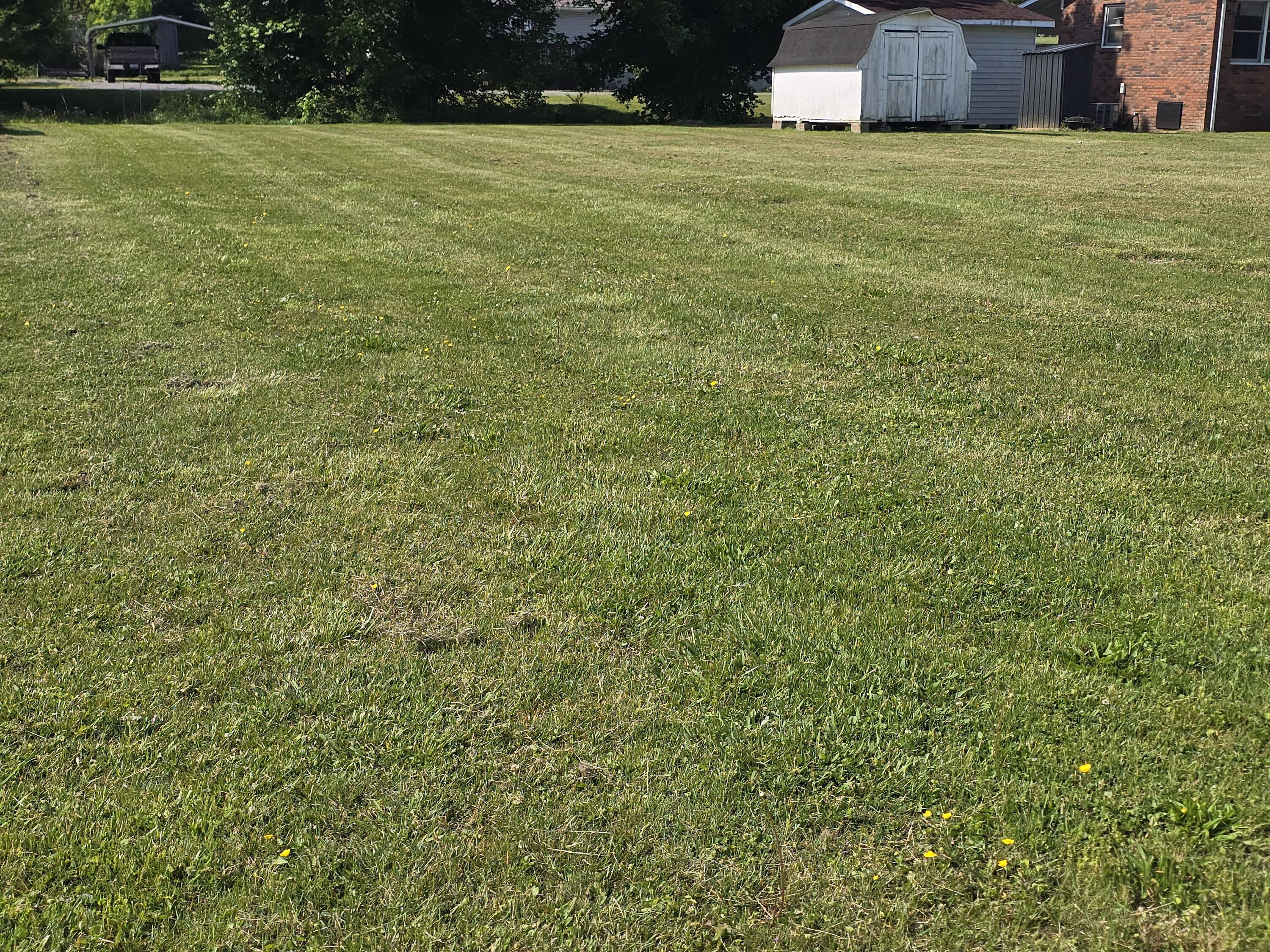 2107 Winchester Avenue Property Photo 3