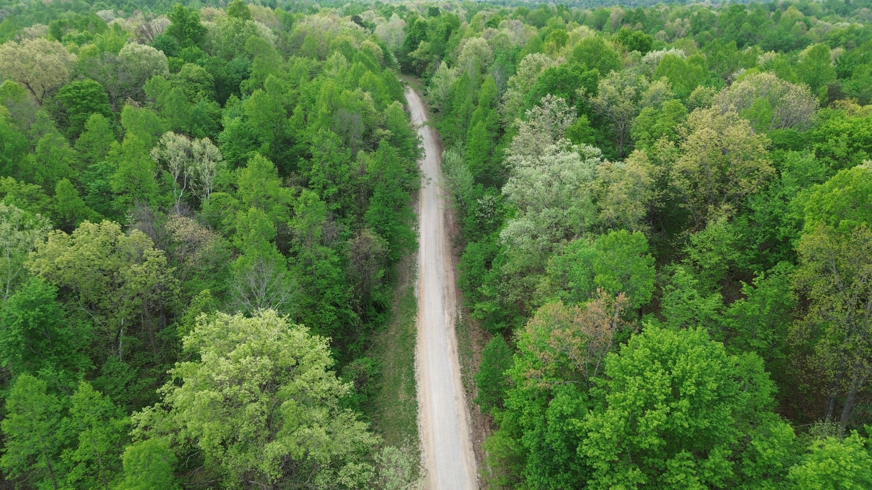 1271a Tunnel Ridge Rd Property Photo 7