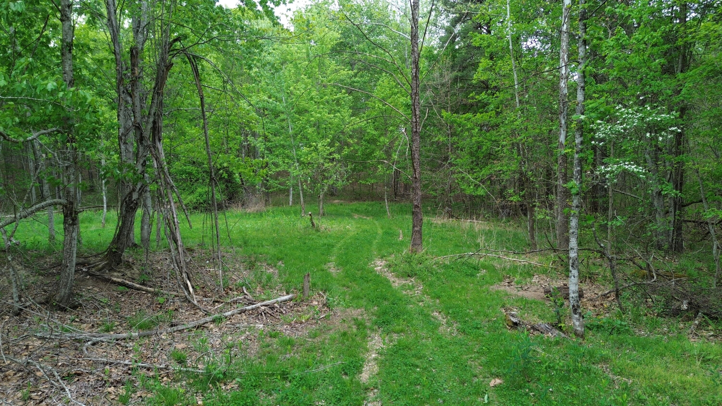 1271a Tunnel Ridge Rd Property Photo 17