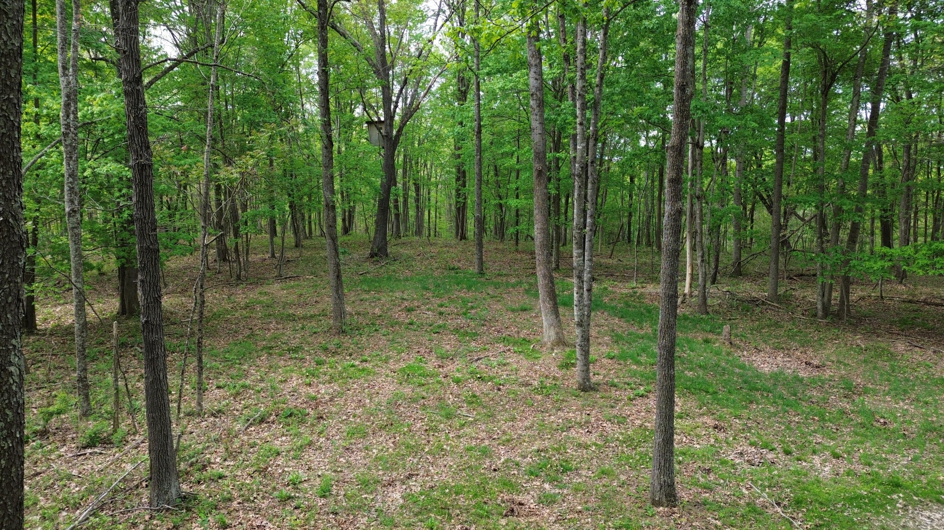 1271a Tunnel Ridge Rd Property Photo 19