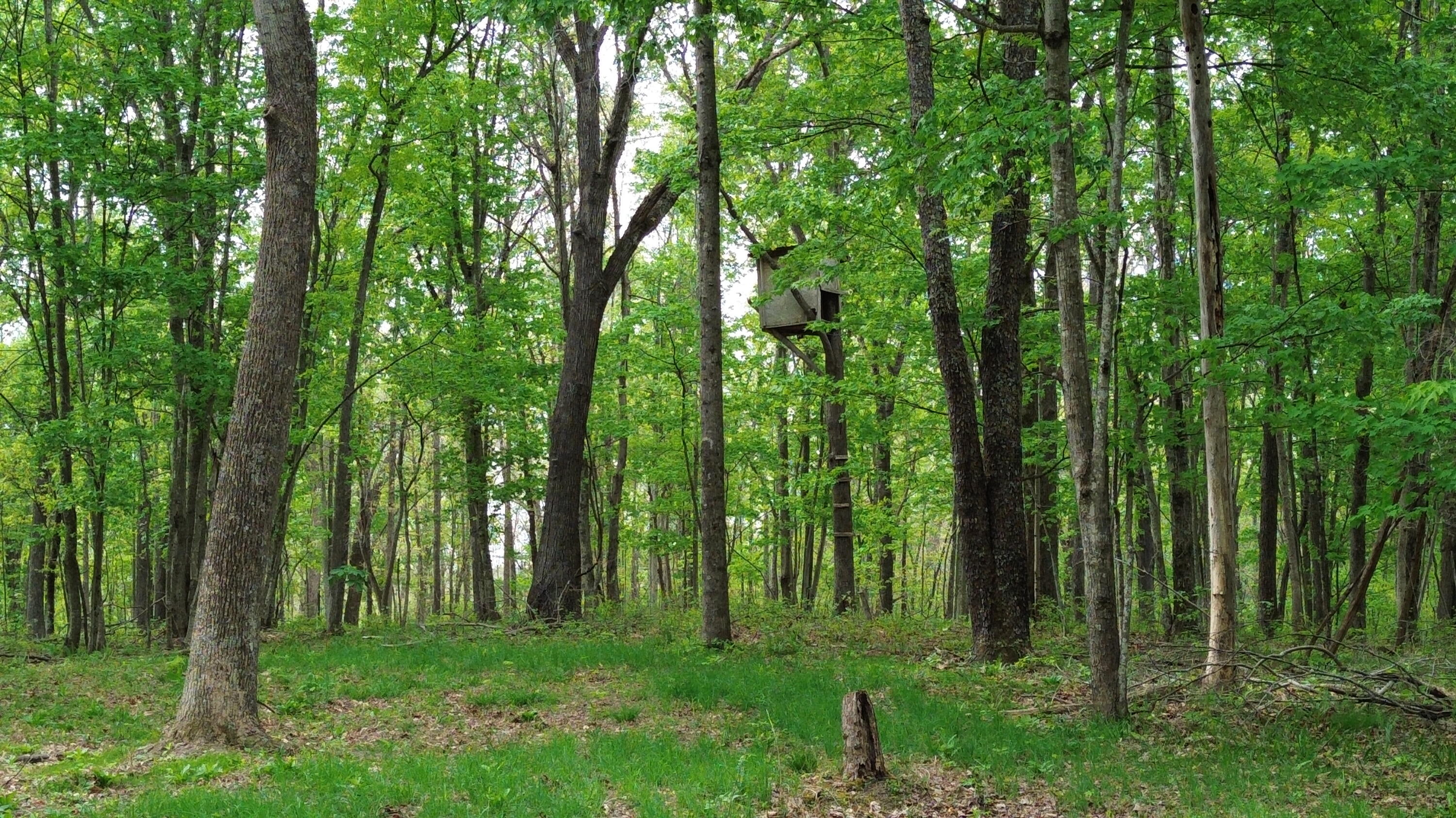 1271a Tunnel Ridge Rd Property Photo 21