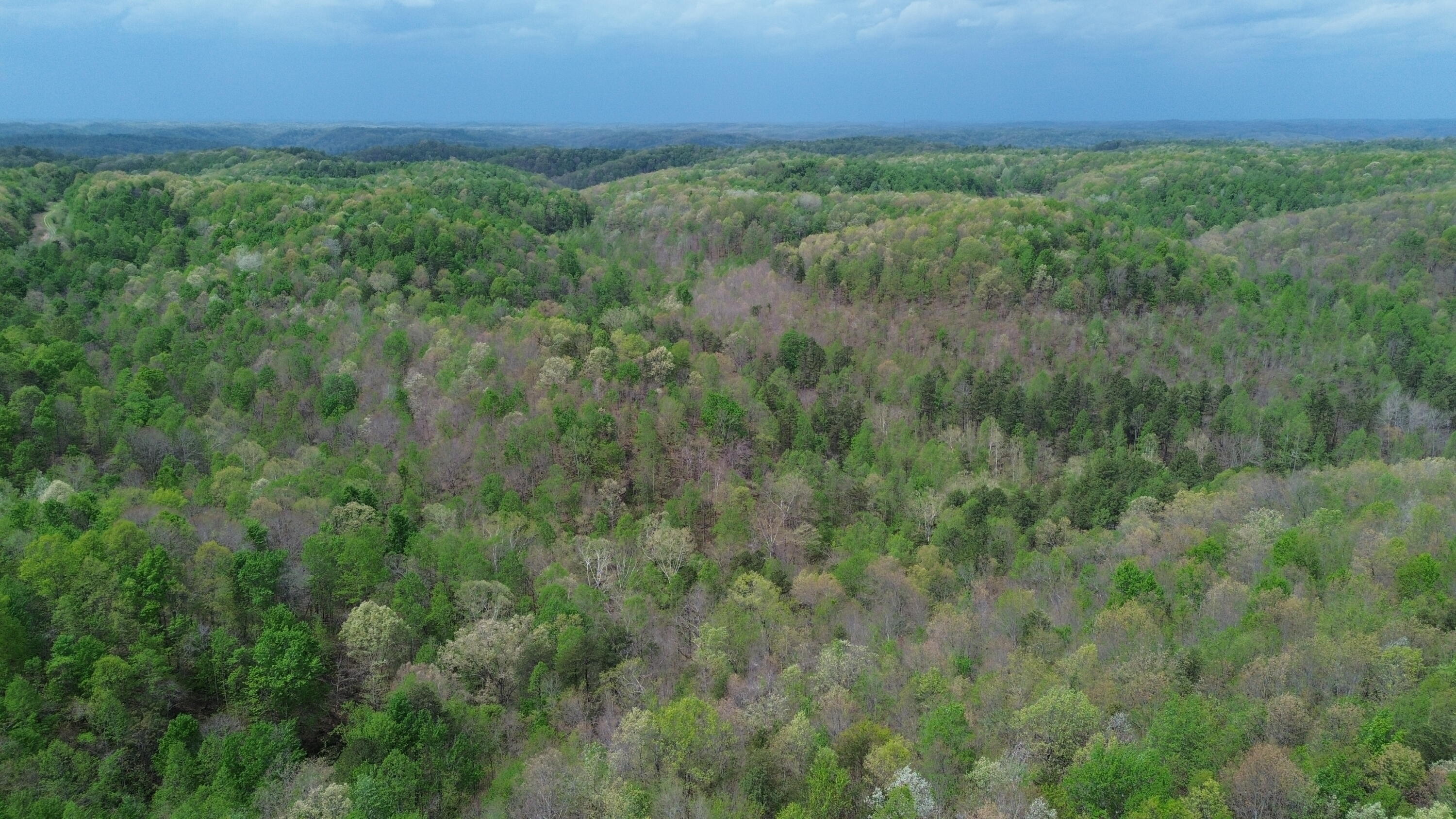 1271a Tunnel Ridge Rd Property Photo 29