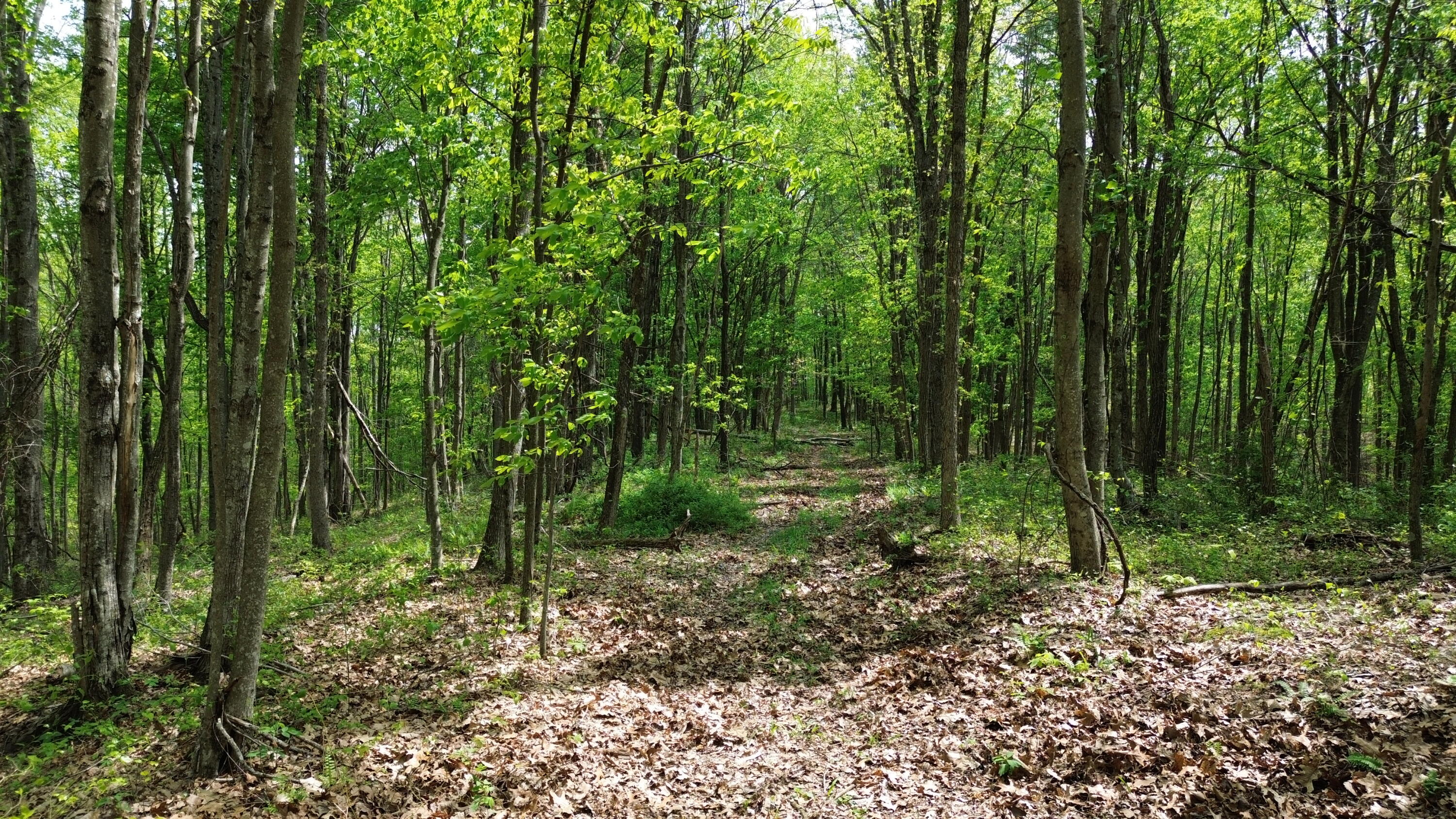 1271a Tunnel Ridge Rd Property Photo 33