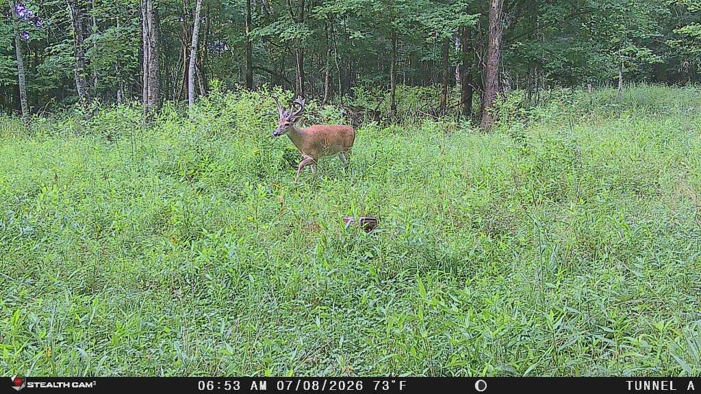 1271a Tunnel Ridge Rd Property Photo 40