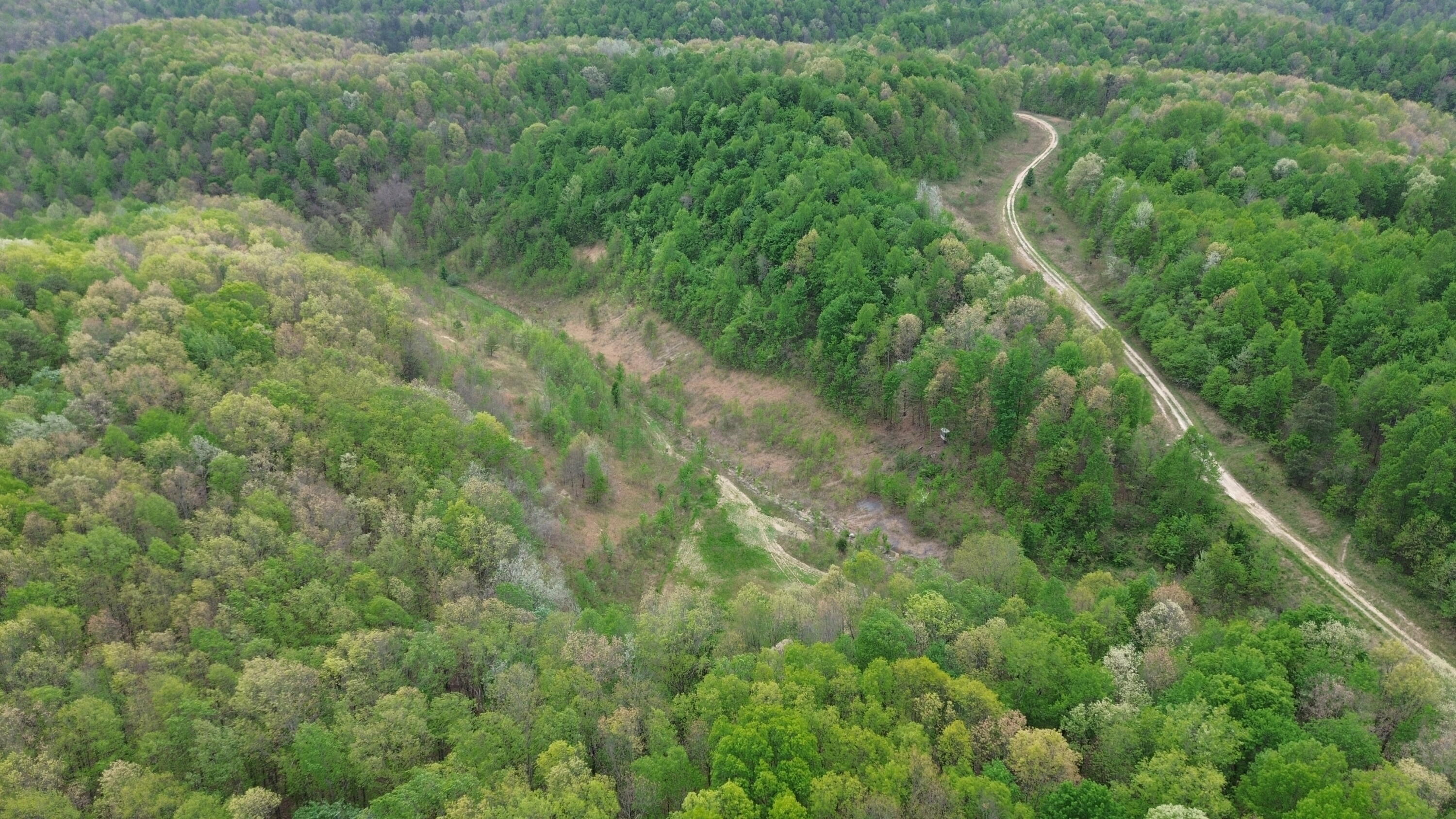 1271a Tunnel Ridge Rd Property Photo 47